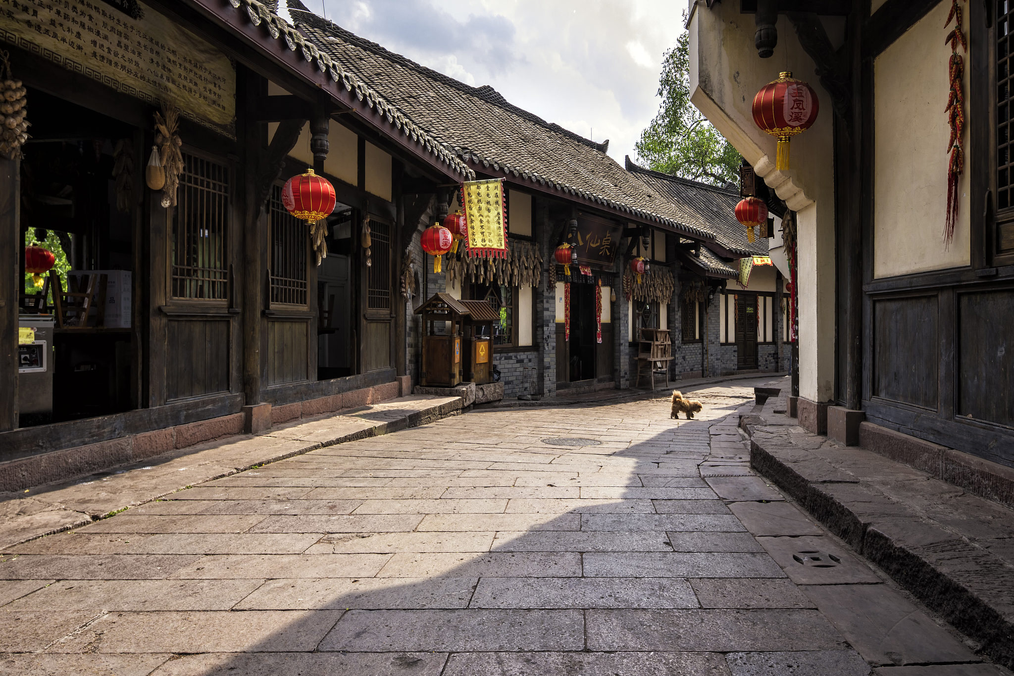成都2021年中专学校一般有哪些专业