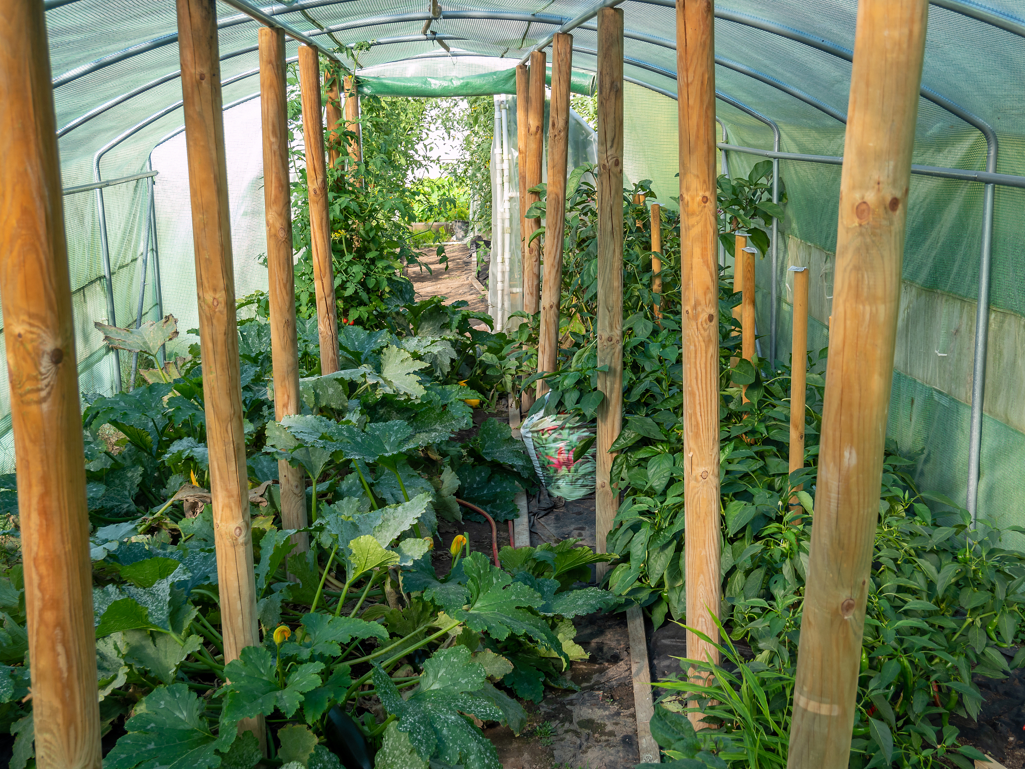 凉山农业学校有哪些专业