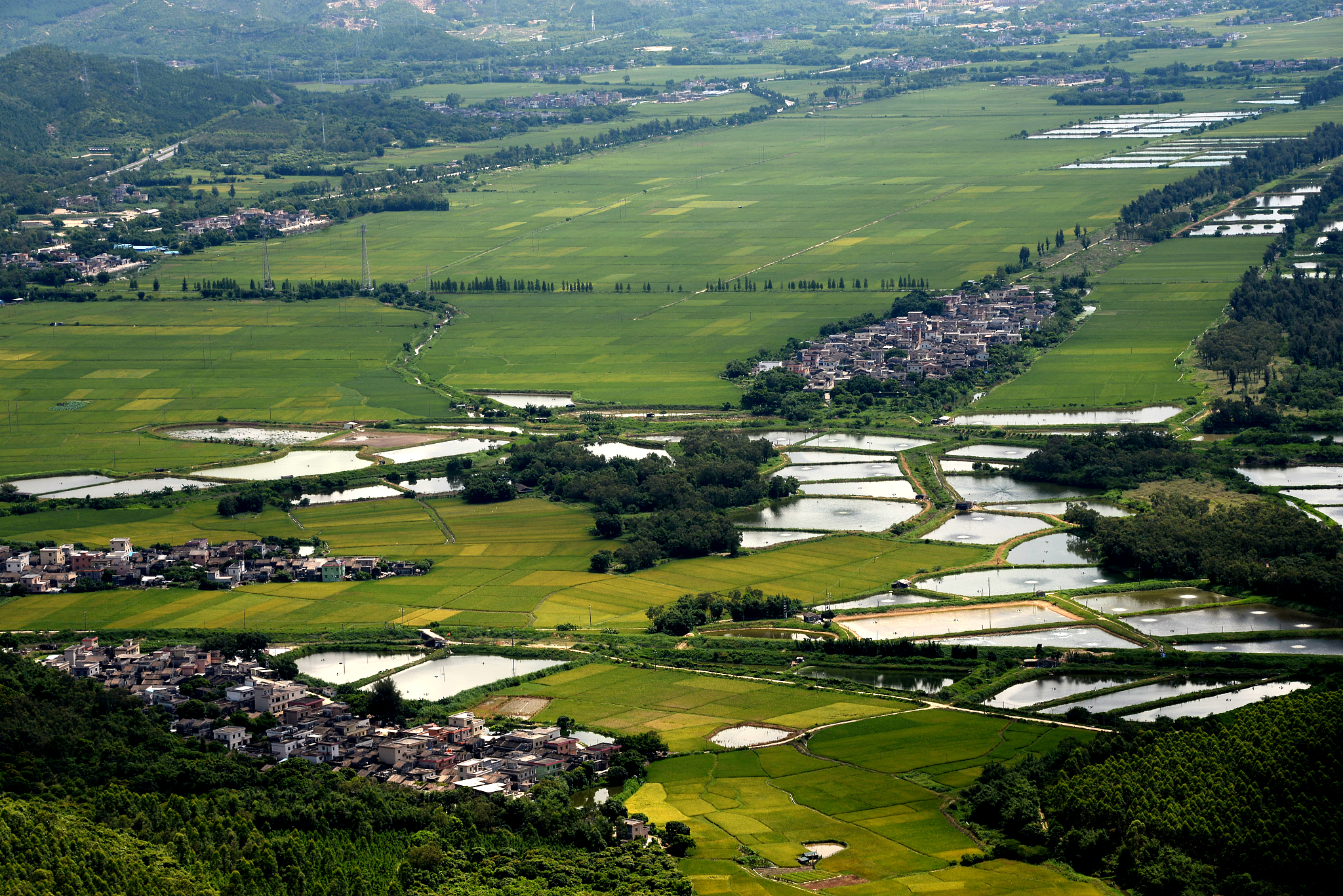 设计乡村振兴类游戏要求有创新创意