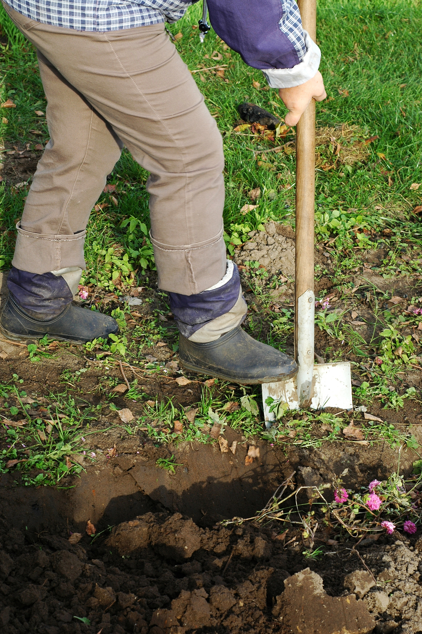 绍兴园艺学校招生简章 | 2022年园艺人才培养计划