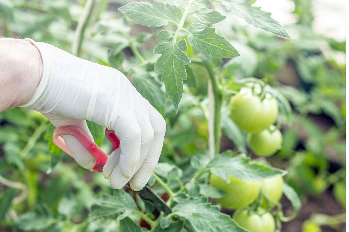 顺德职业技术学院应用化工技术专业就业方向有哪些