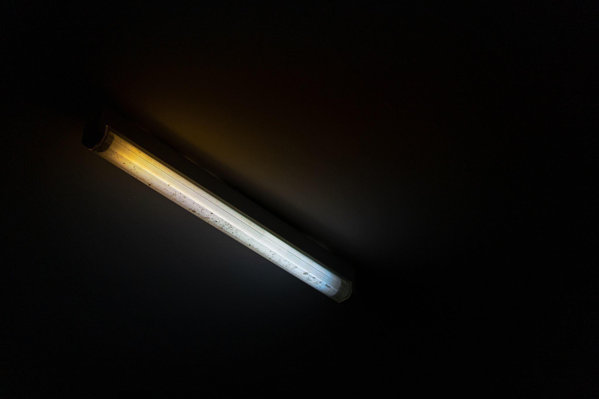 fluorescent lamp at night on the ceiling