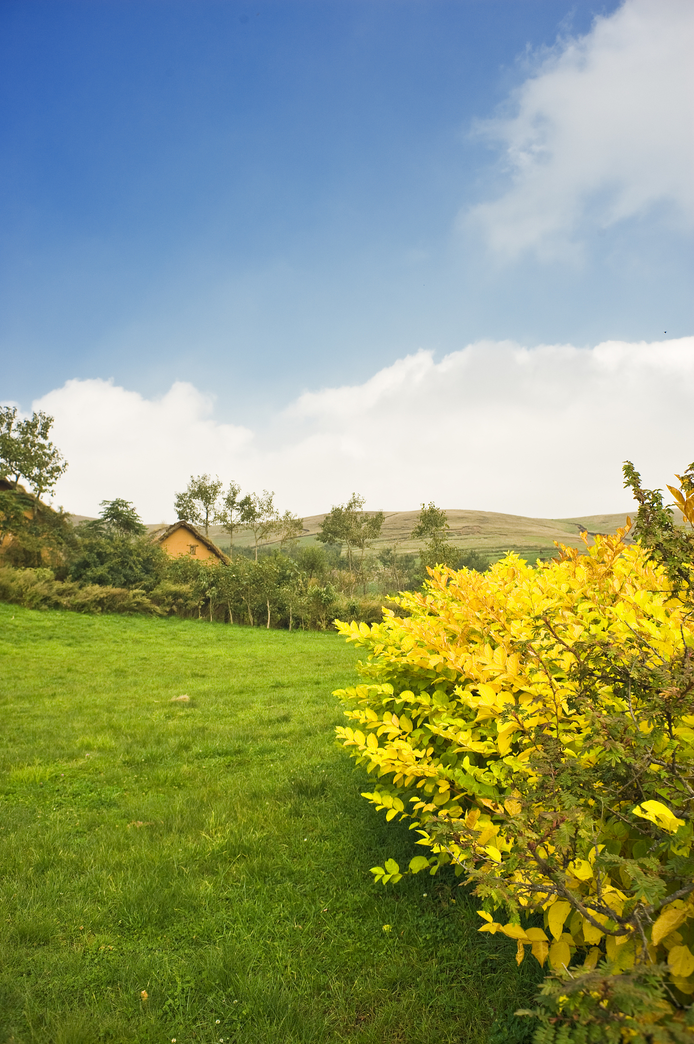 昭通市中专学校排名top5用