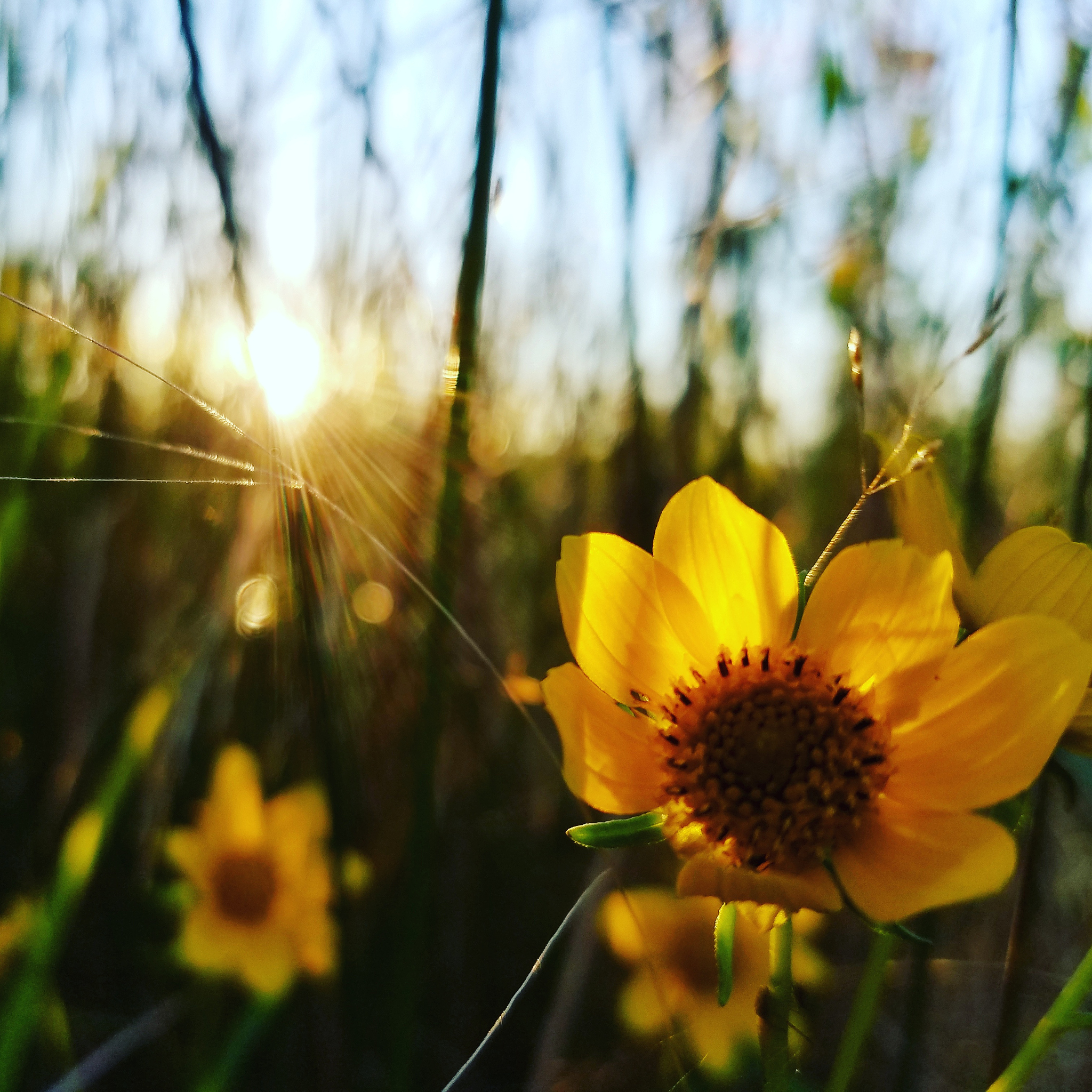 生成一千字的对一个人的喜欢