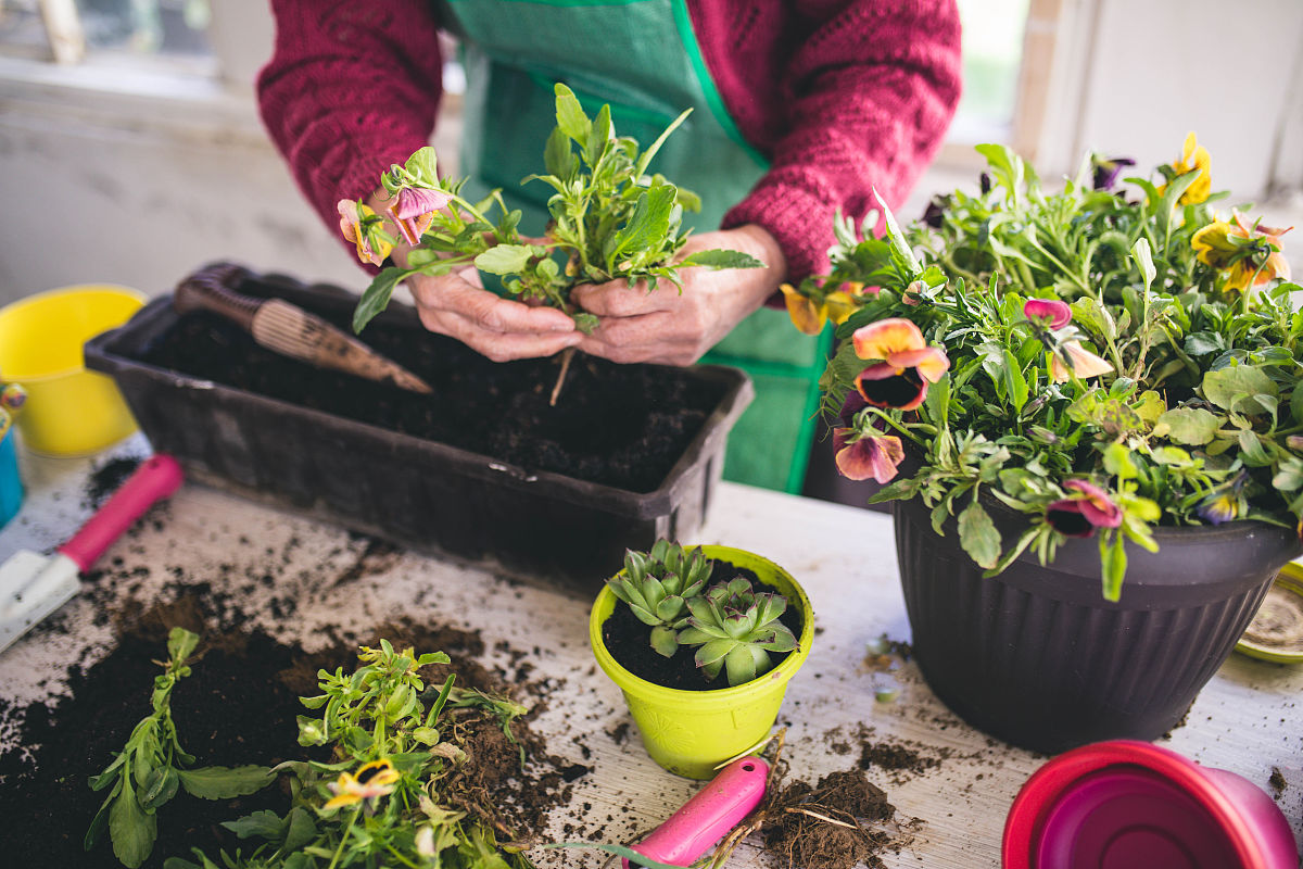 先生成5个长尾词长一点的再每个词写一篇文章字数多点