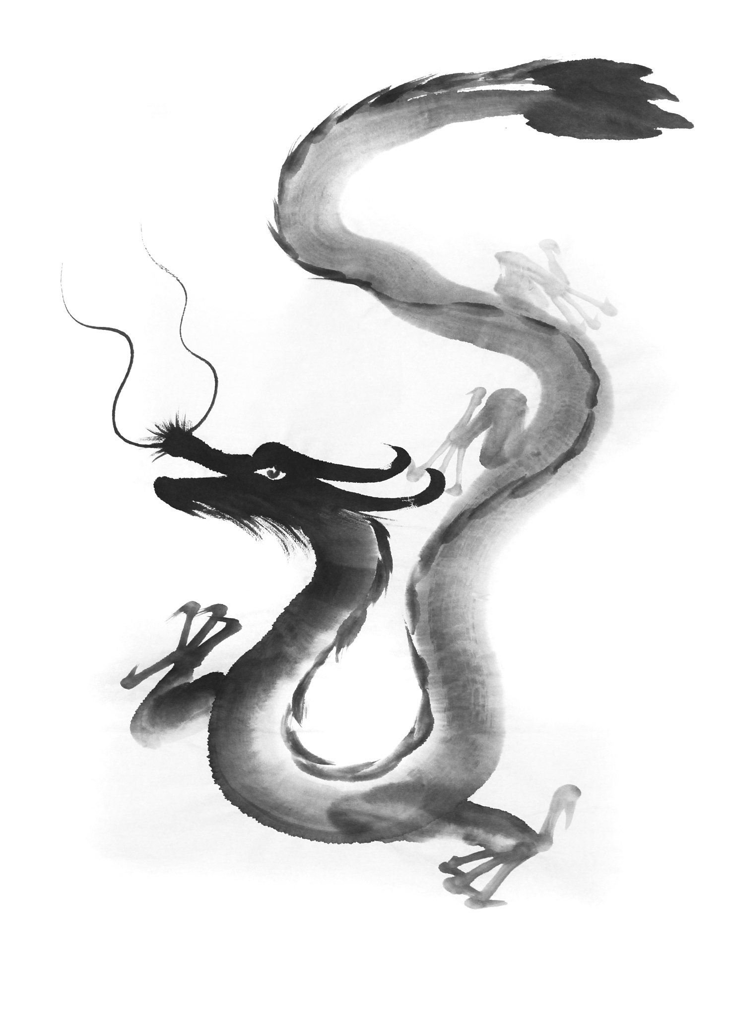神龙见首不见尾是什么意思帮我用200字详细描述