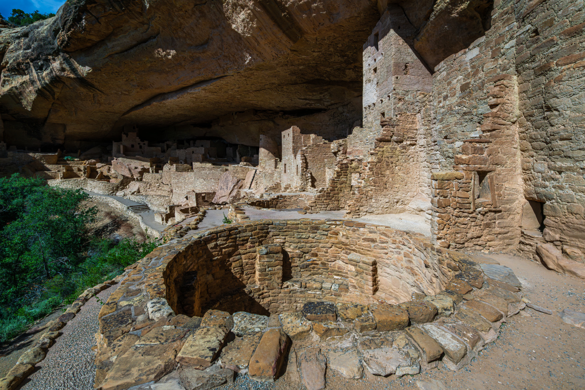 神秘的修道院水源：在采蘑菇时发现的古老橡树洞穴