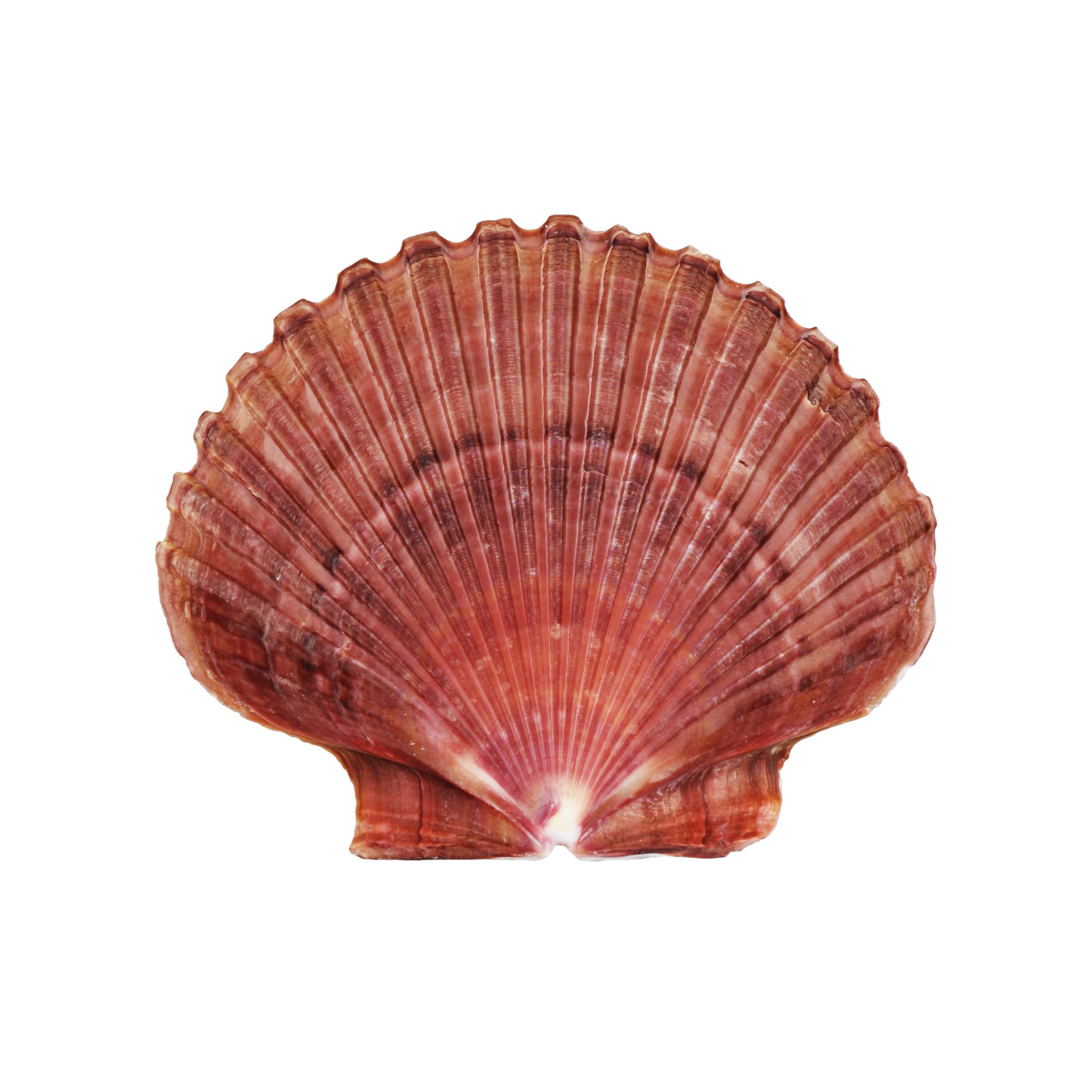 海水密度计算公式：深度、盐度、温度的影响