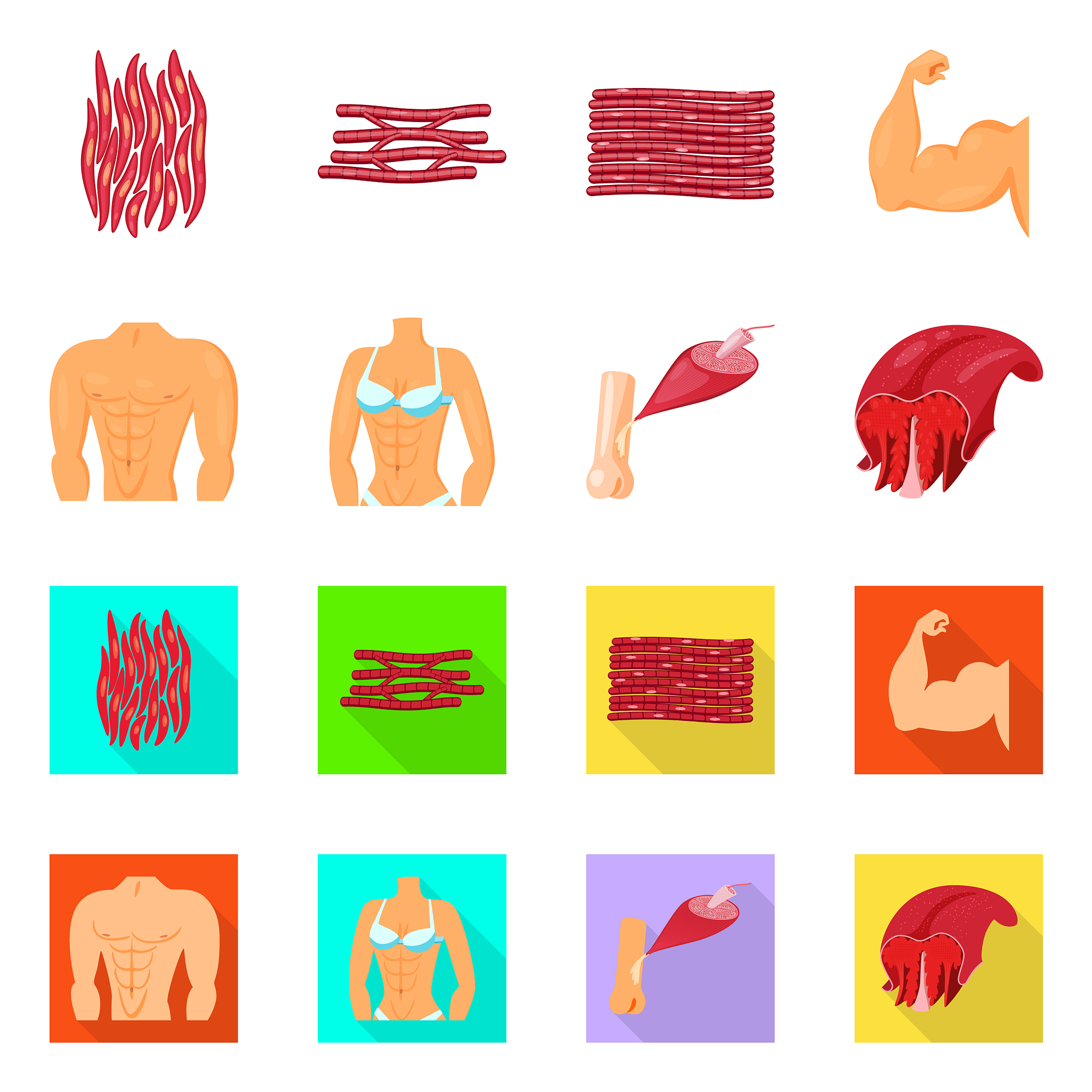 肌原纤维蛋白凝胶低场核磁共振分析：评估肉制品品质的有效技术