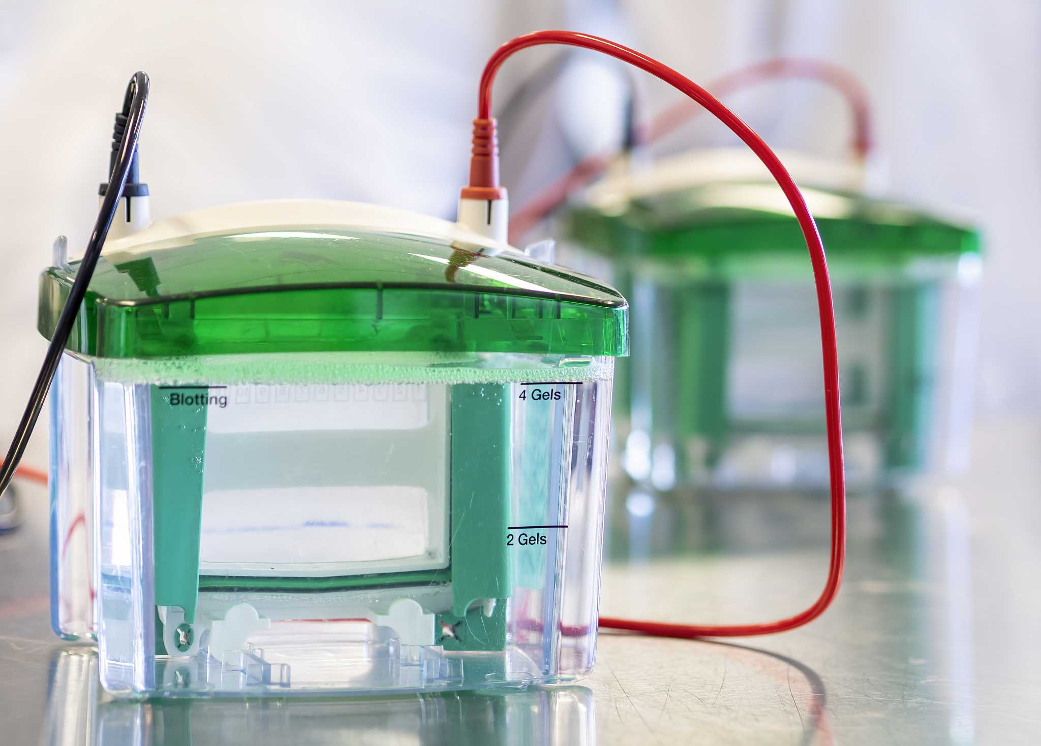 ELECTROPHORESIS 期刊推荐：涵盖广泛、学术权威、影响力强