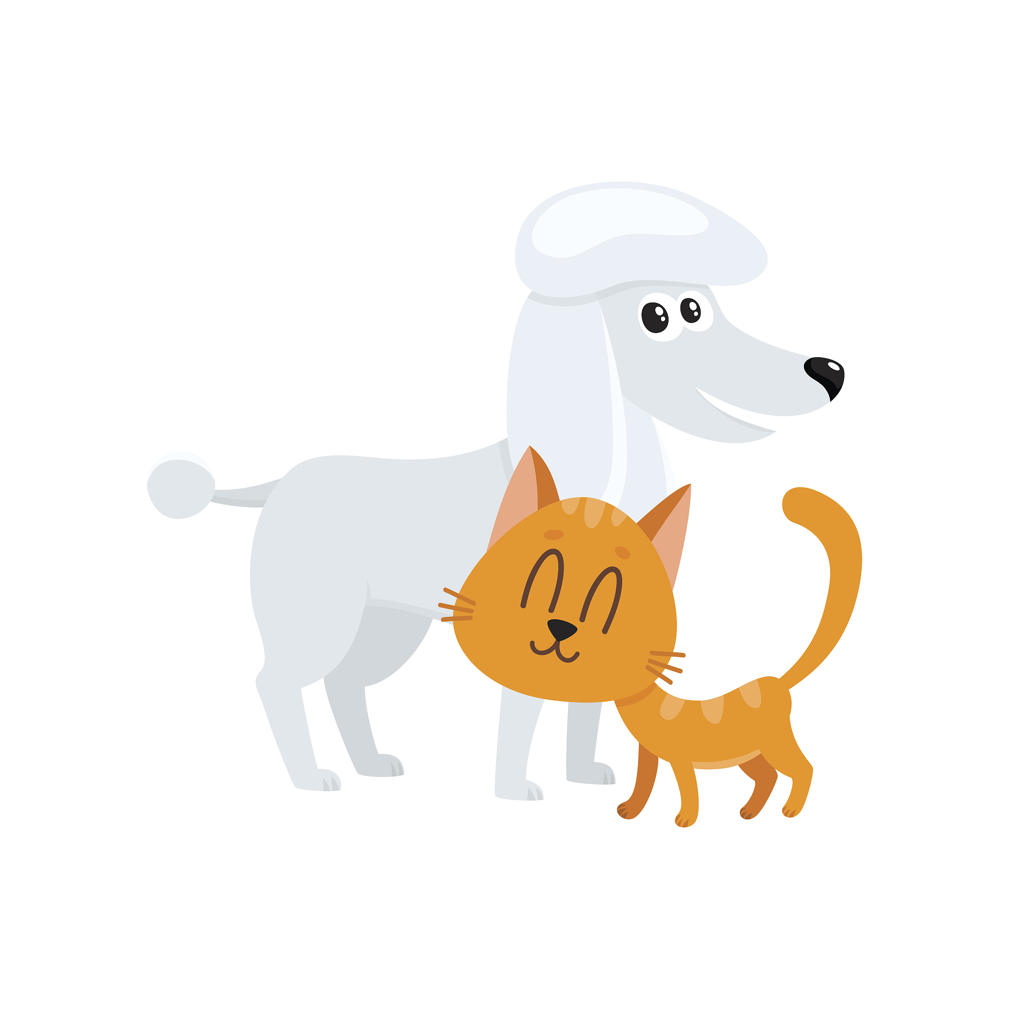 四年级仿写猫第二自然段300字：我家的小白狗