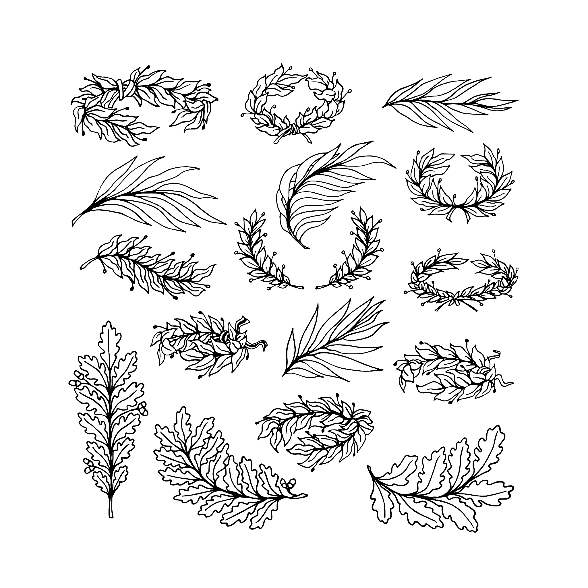 植物肌理的概念