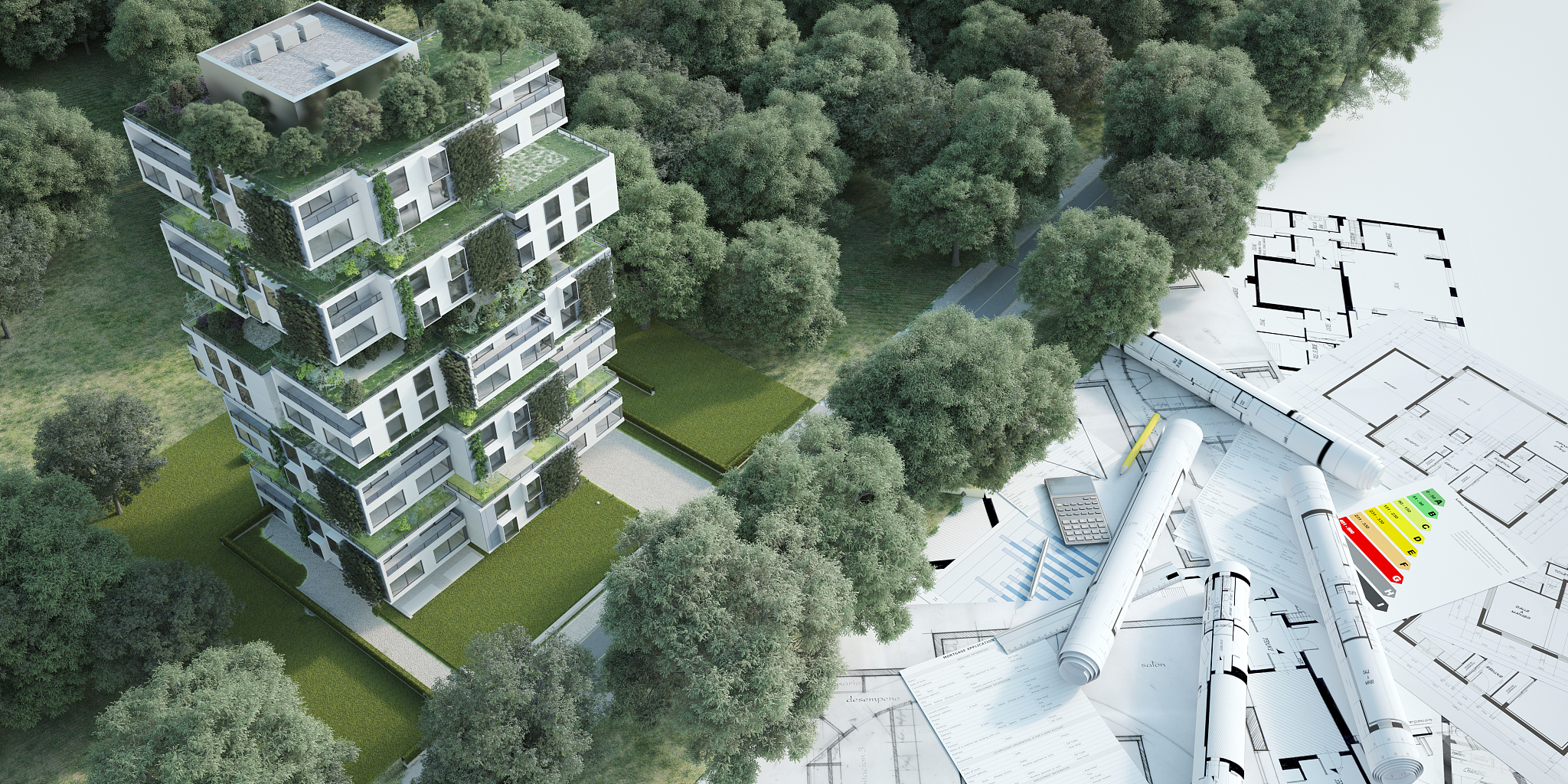 曲周职教中心现代园林技术专业怎么样