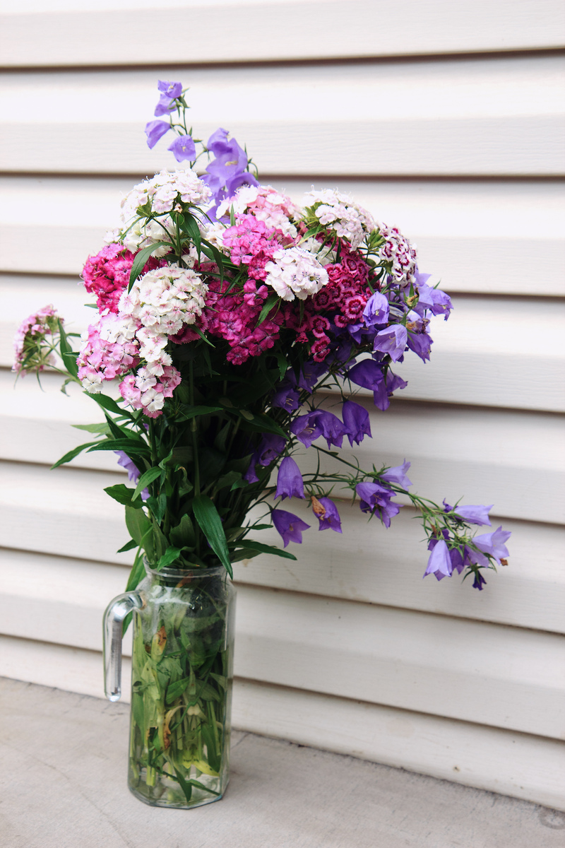 如何延长鲜花寿命？保存已经包装好的鲜花技巧