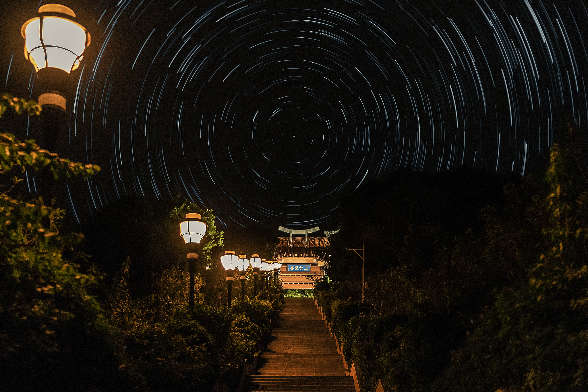 厦门大学嘉庚师范学院高考失利还能上吗？