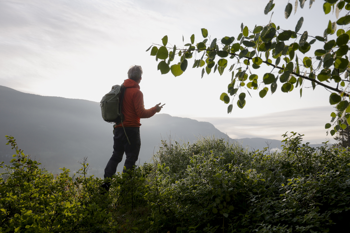 雨打花落残红去，楼心空对下雕栏。这是我在杭州登山后想到的，我是一个中年男人，因为要还房贷，老婆工资低，所以必须要在杭州生活，和家人是分开的，家人在老家县城，我老婆一个人带着两个孩子。你觉得我想着什么呢，请你续写这两句成为一首词，站在我的角度写一下谢谢。