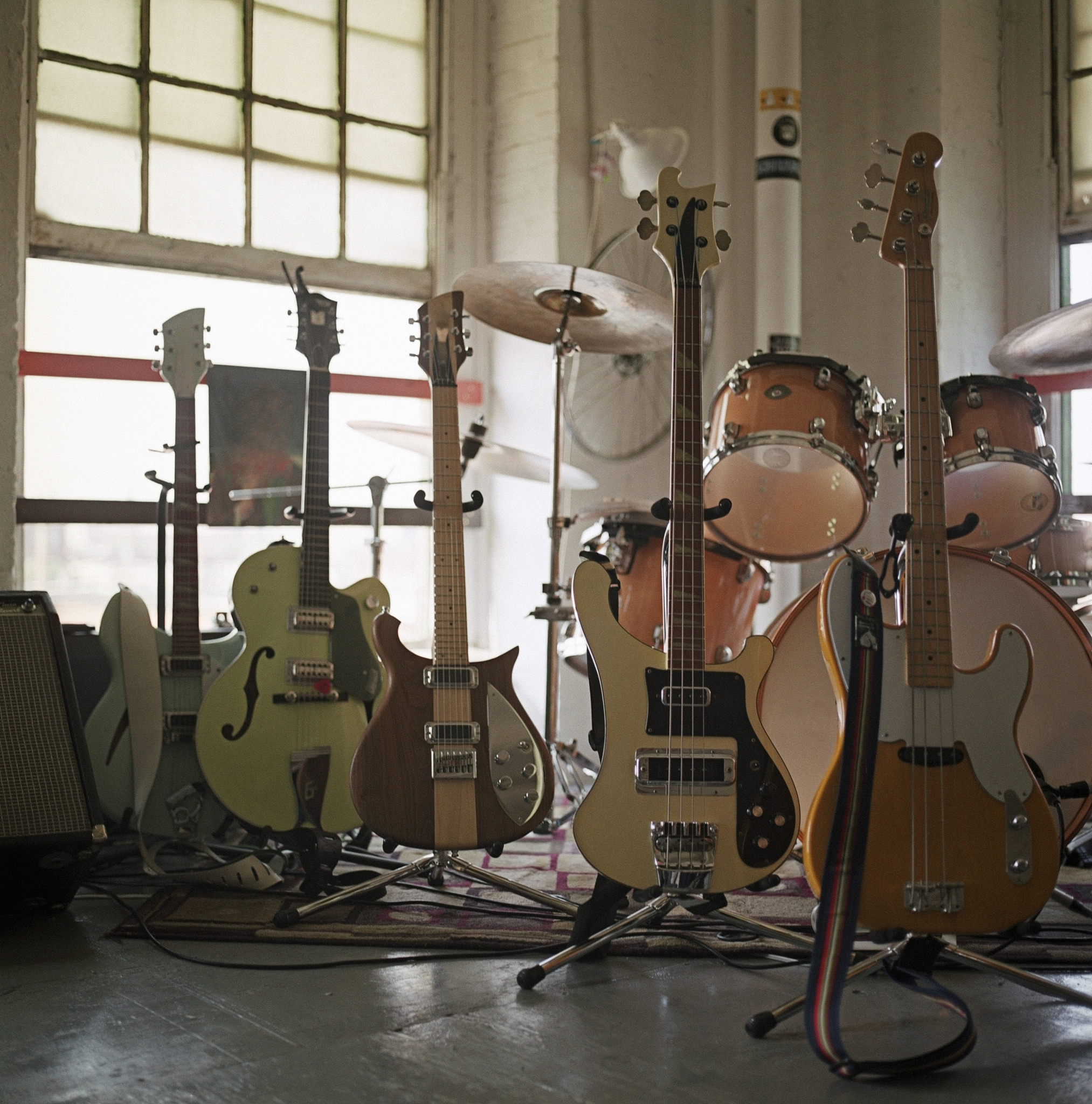 悬铃木风靡全球的原因