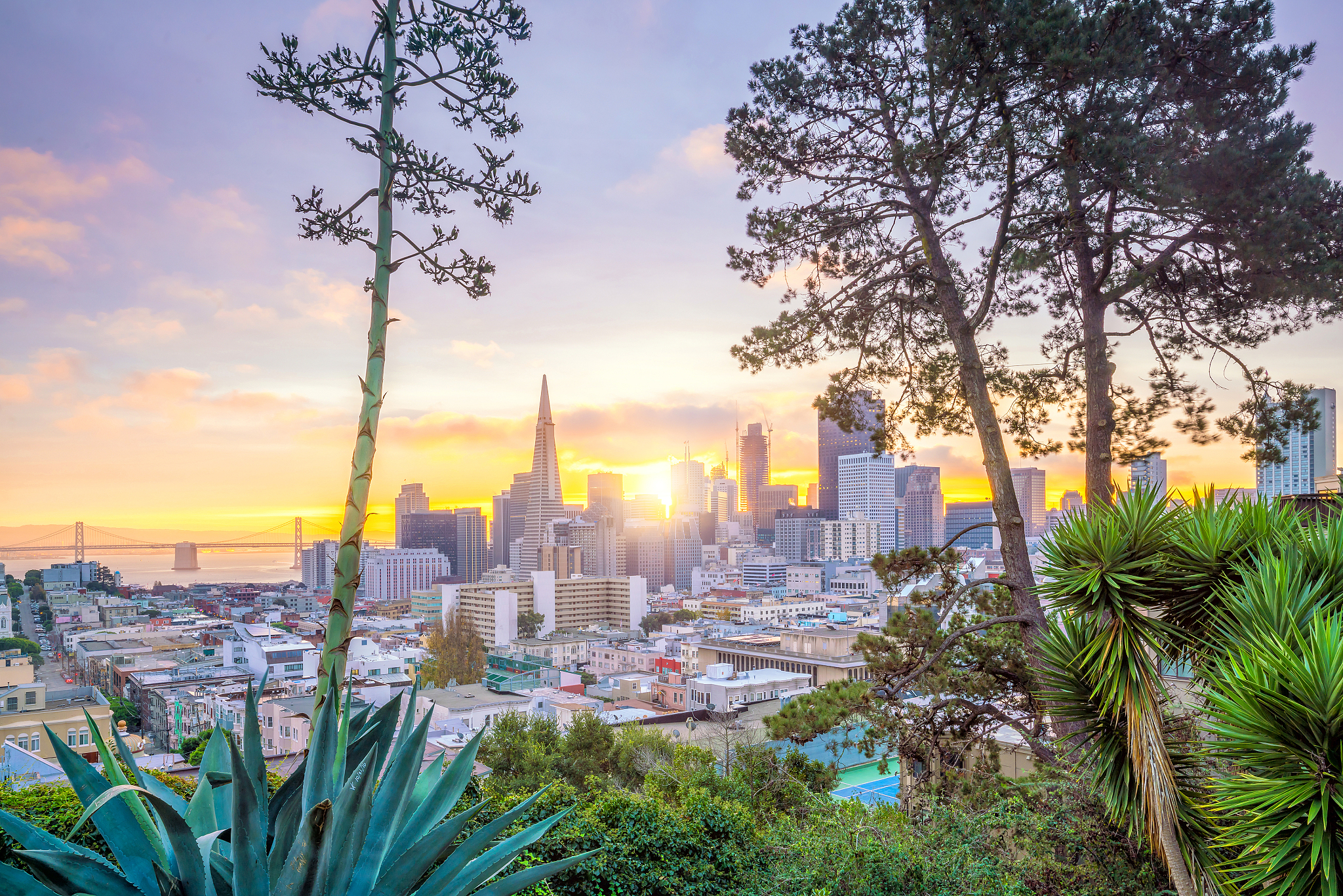 beautiful view of business center in downtown san francisco in u