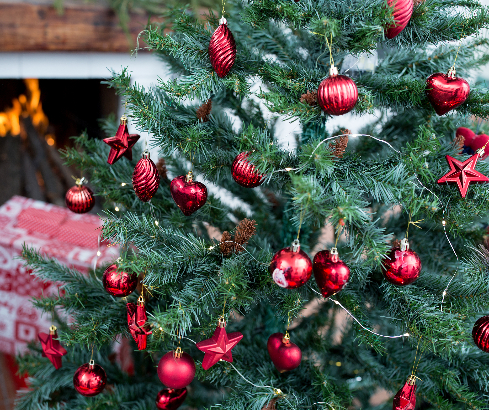 冬青节：西方传统节日，庆祝圣诞节