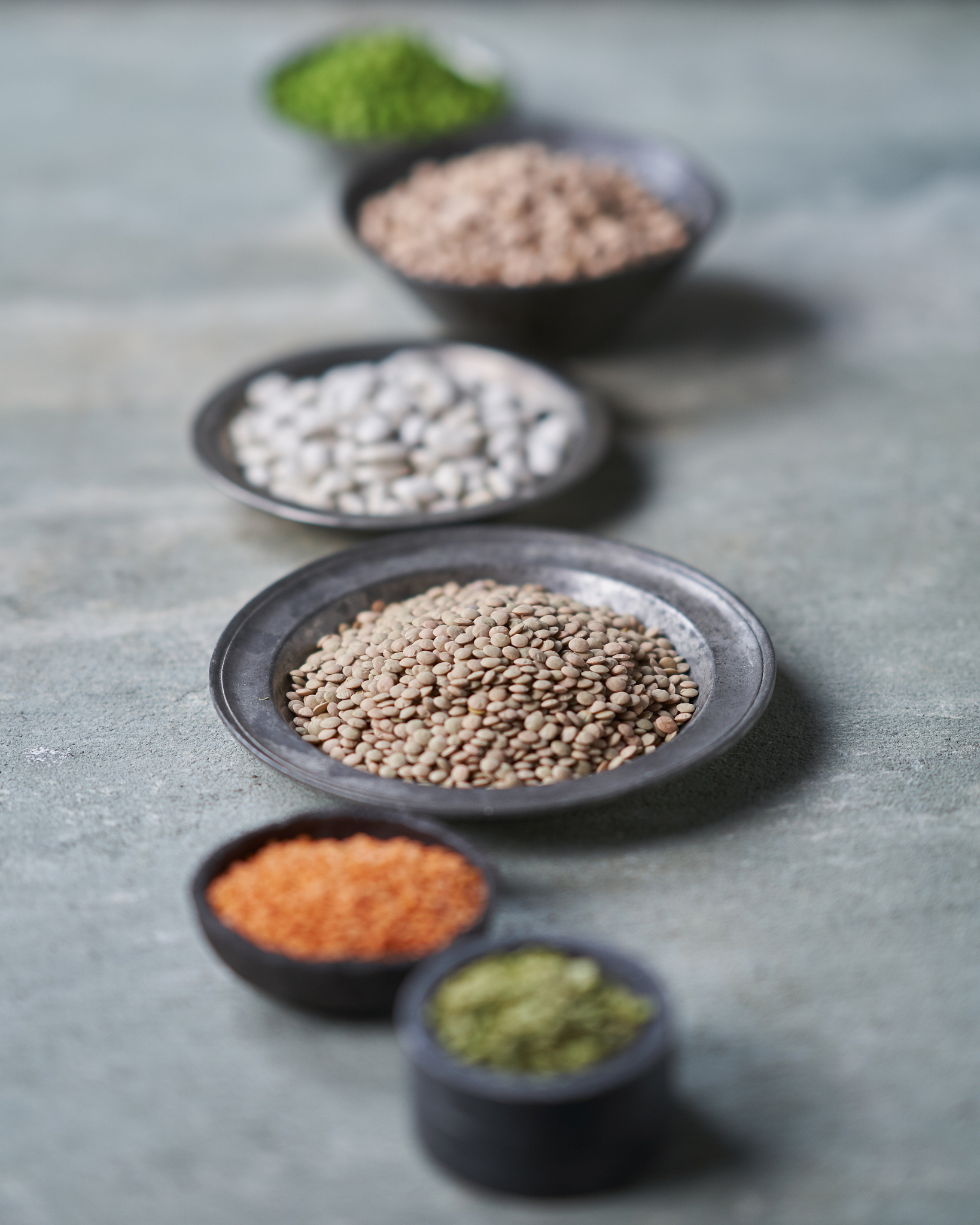 查找一份喂养三文鱼的饲料配方及其营养指标配方原材料要常见营养指标不要用