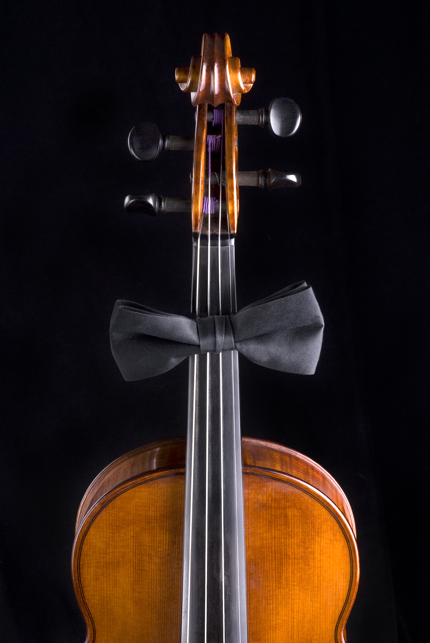 violin portrait with formal bow tie on black (series)