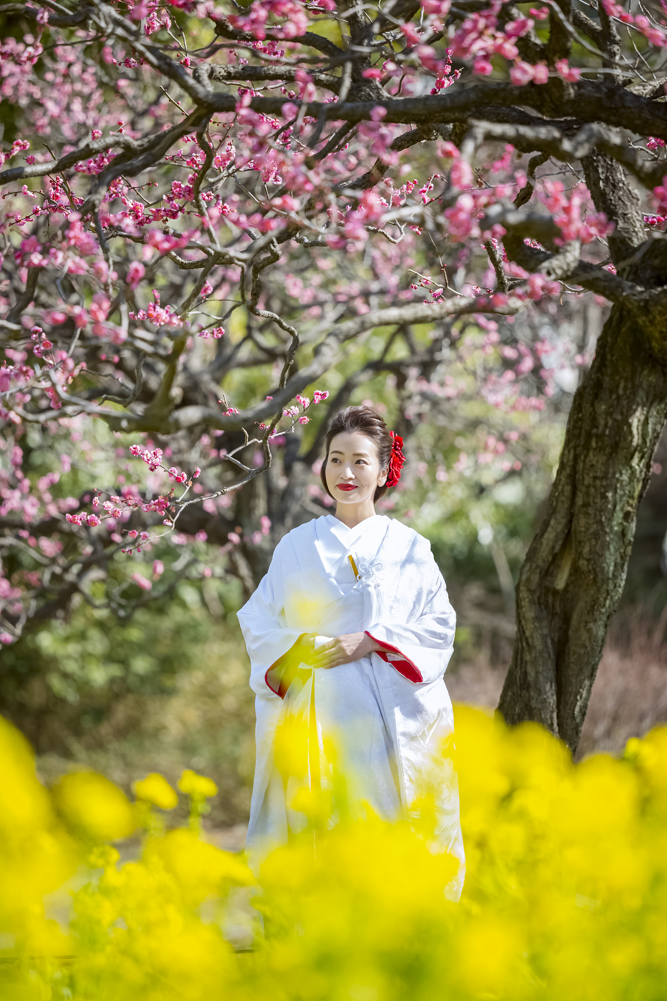 美女赏春诗 - 春光烂漫，美景如画