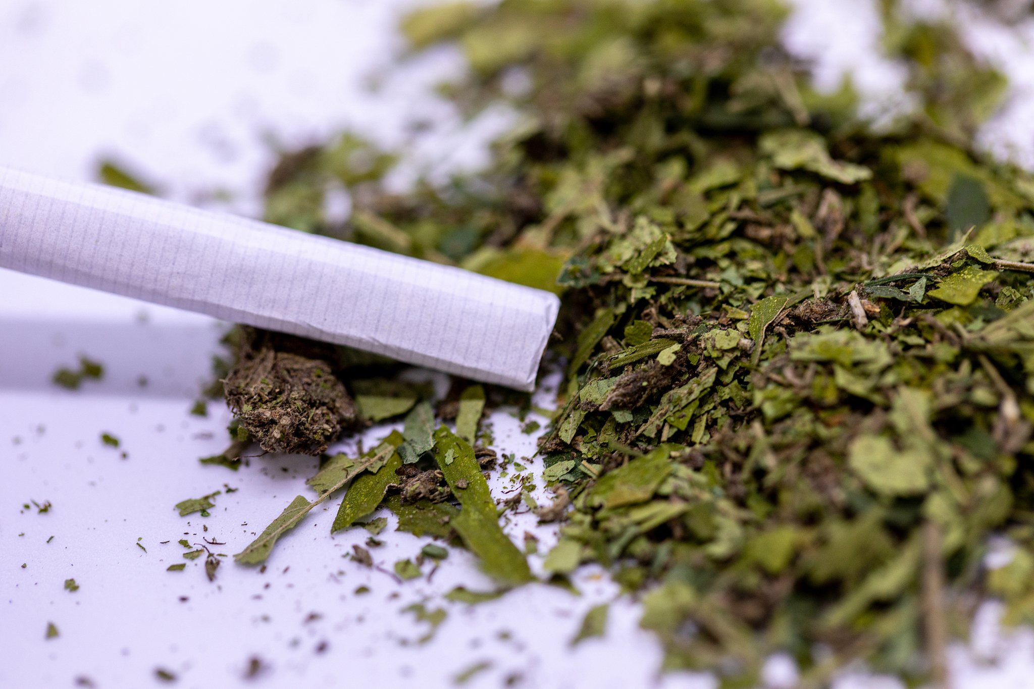安徽粮食工程职业学院单招有高铁乘务专业吗