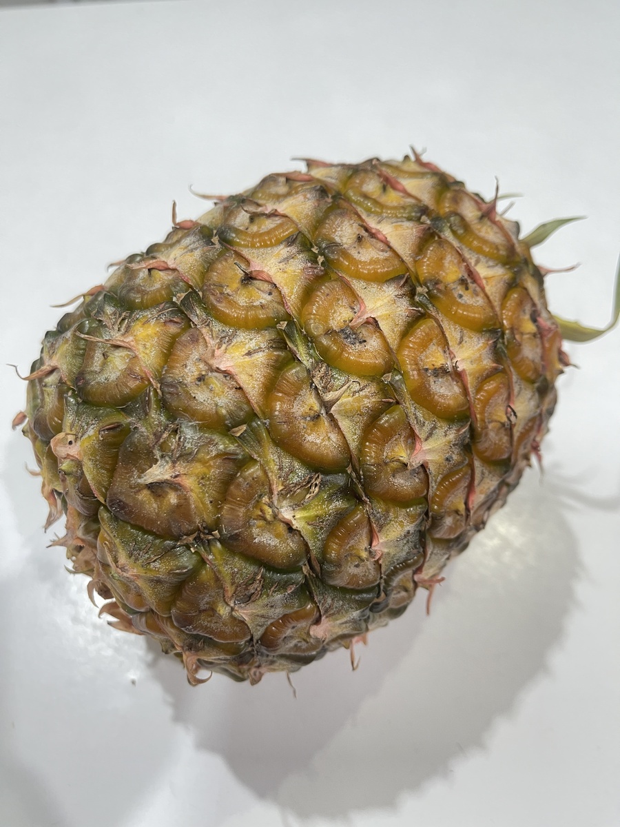 菠萝发黑还能吃吗？口感营养变化大揭秘！