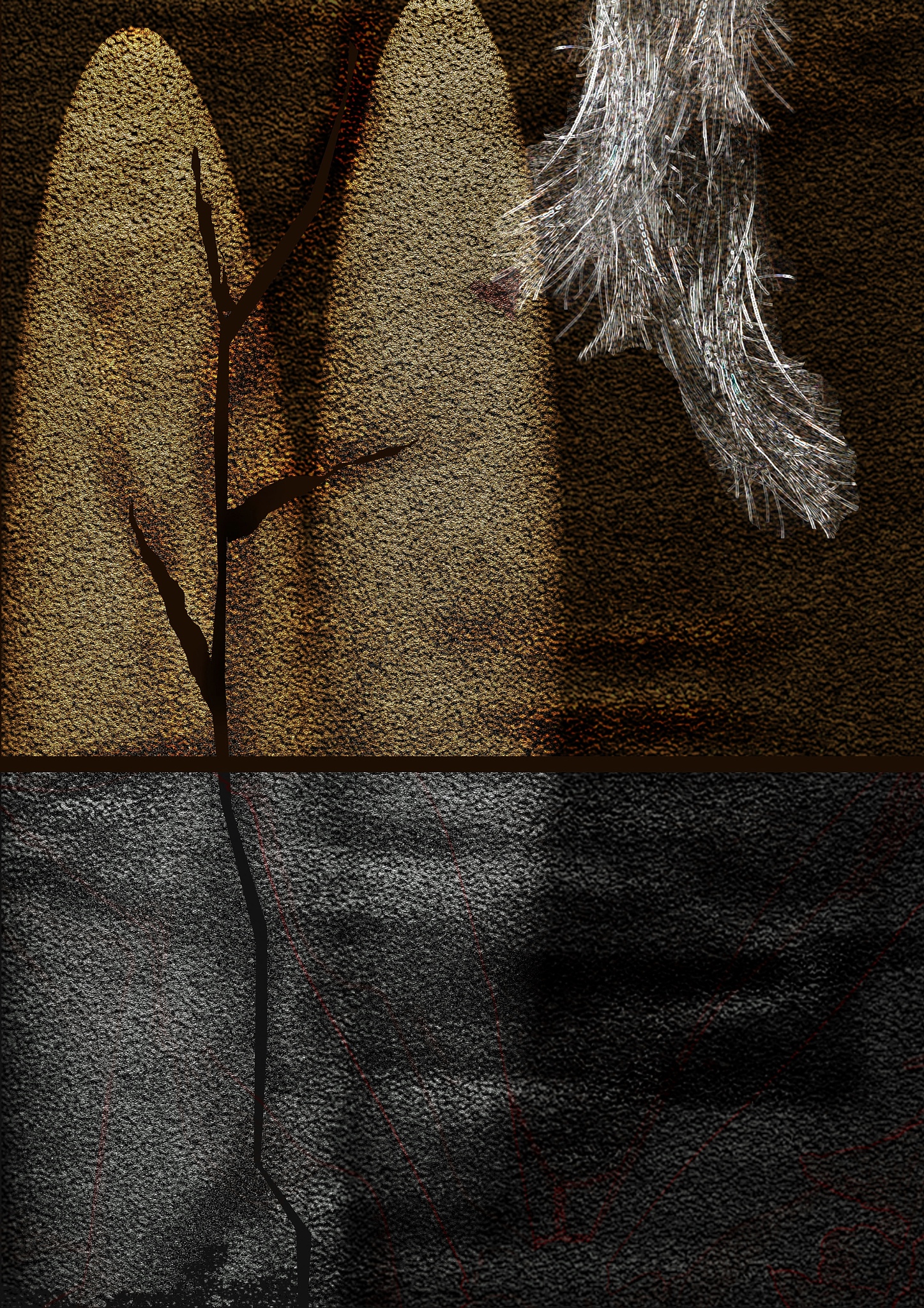 现实主义：文学、艺术和哲学中的真实反映