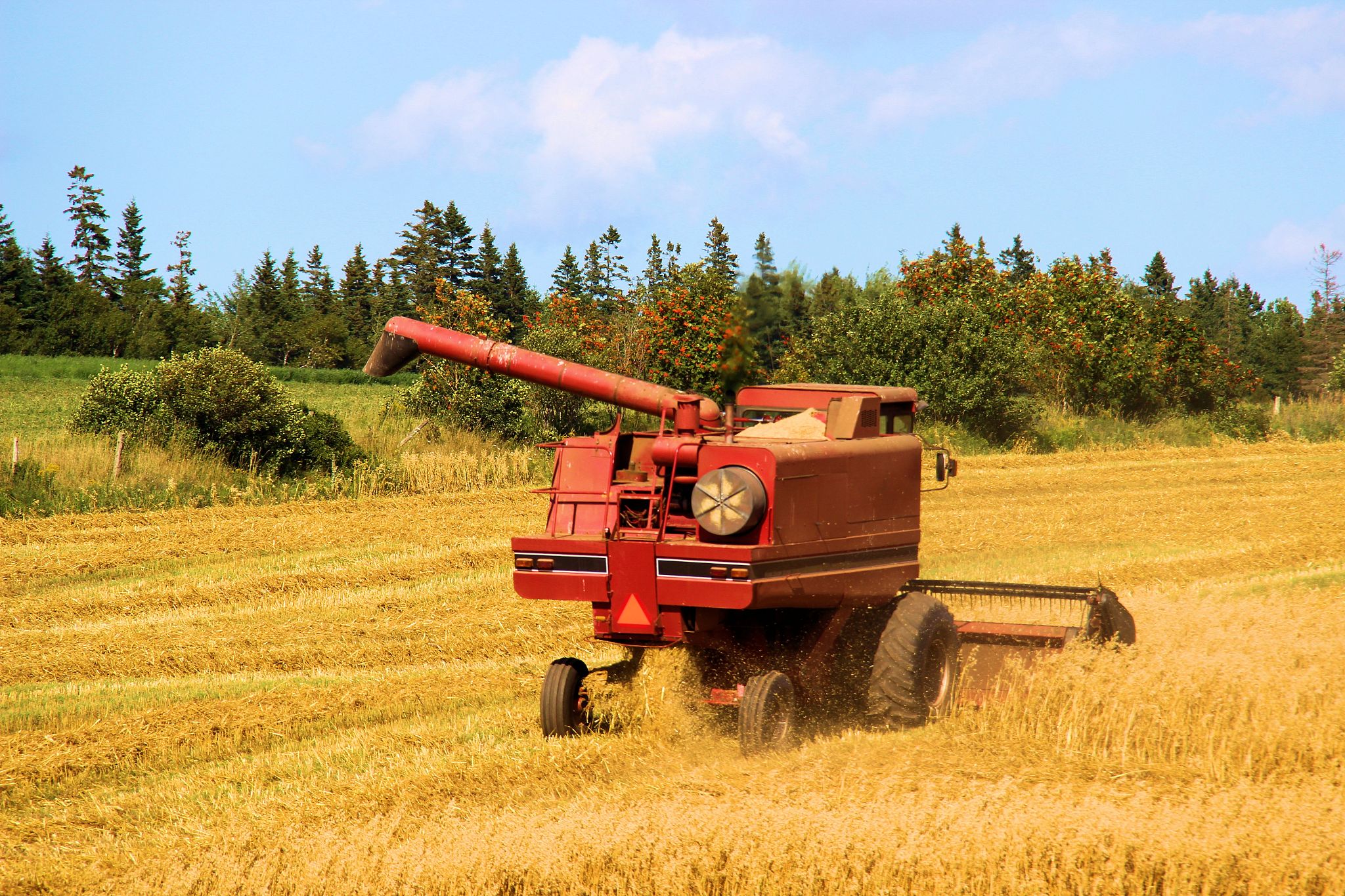 作物收获面积与种植面积的比例的名词定义
