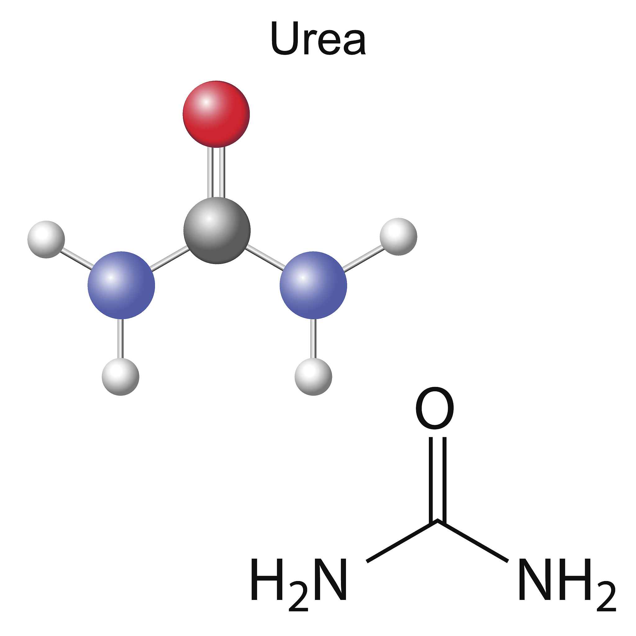 8羟基喹啉与金属复合物 催化二氧化碳还原反应的公式以及参考文献