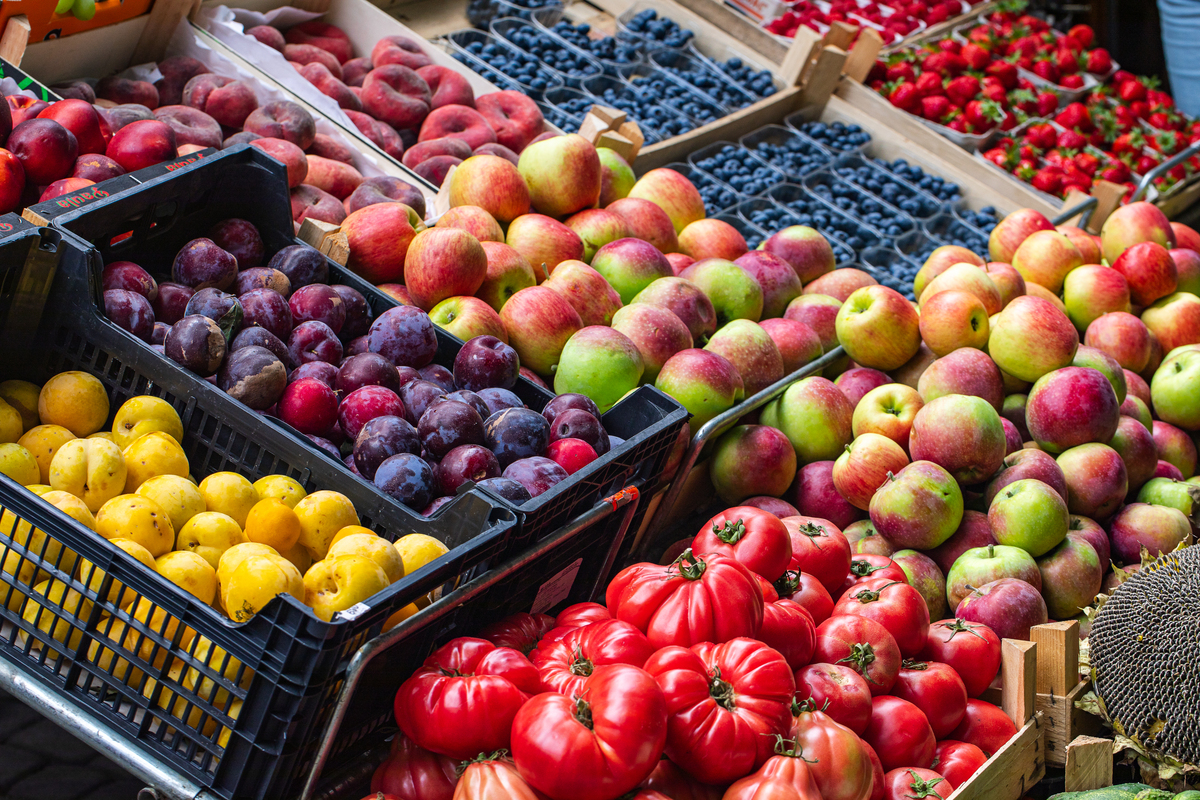 初鸟果企业简介