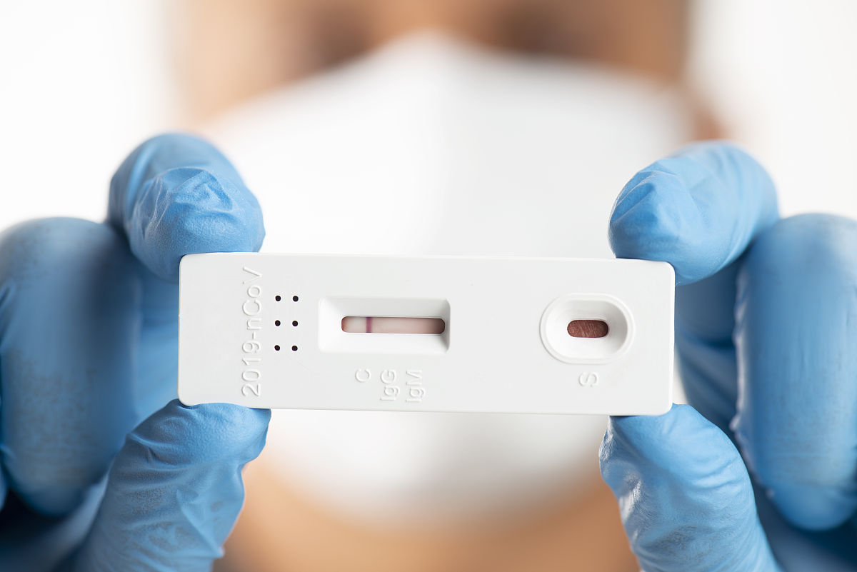 测试用例包含哪些东西？