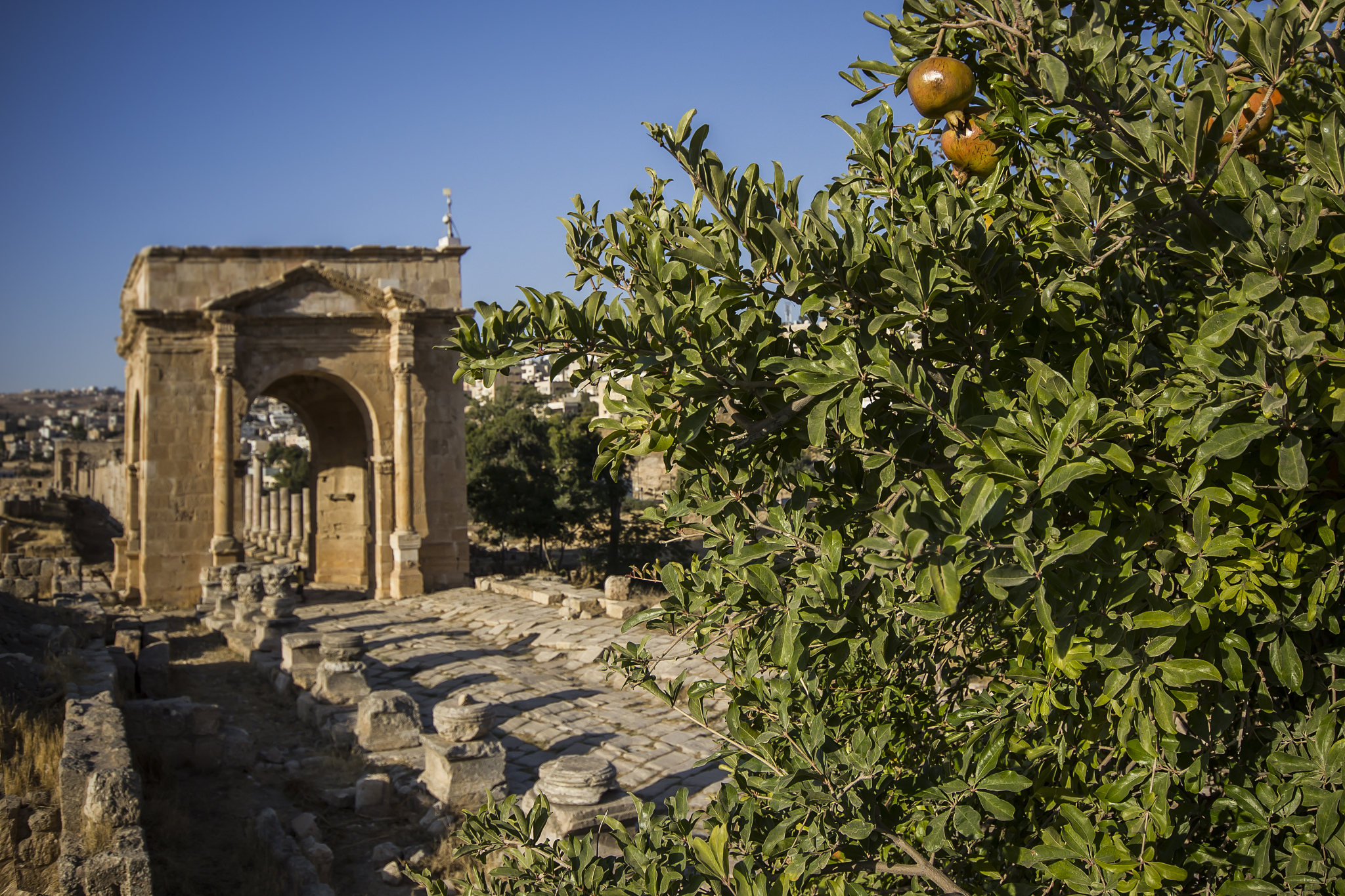 Un elenco di punti sensibili rappresentativi della scienza punti di forza e di debolezza nodi importanti