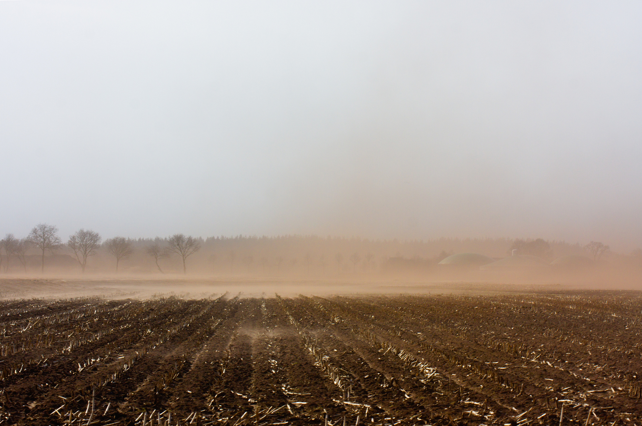 极端恶劣天气对农作物生长的影响