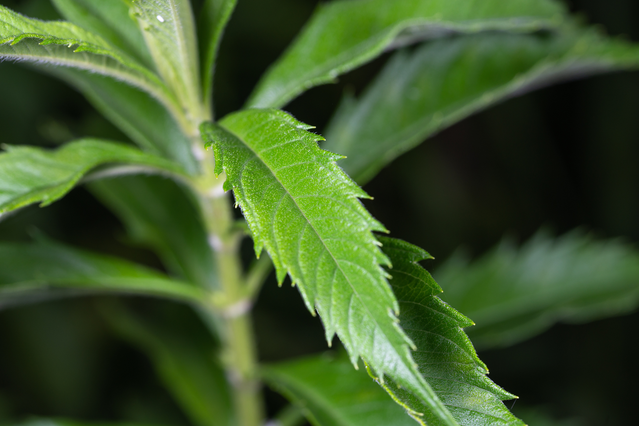 赣南中医药学校平面设计专业招生介绍