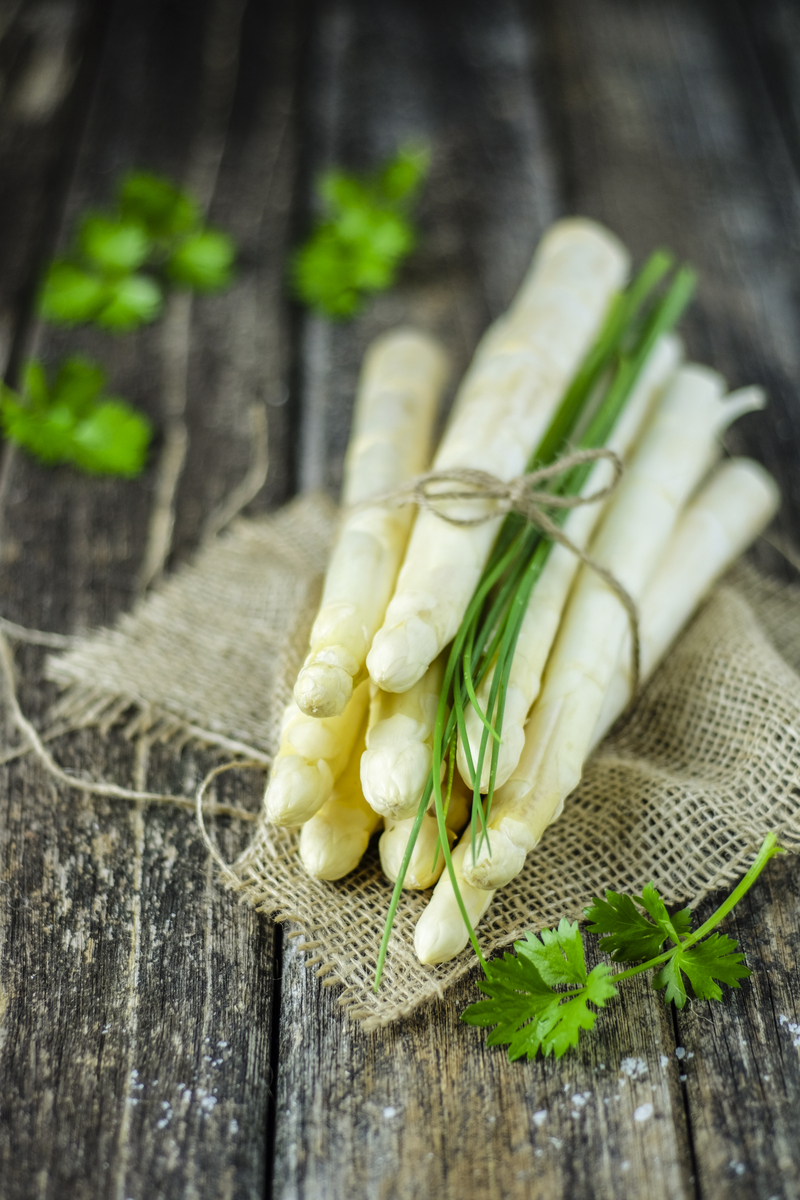 笋芽什么的什么的