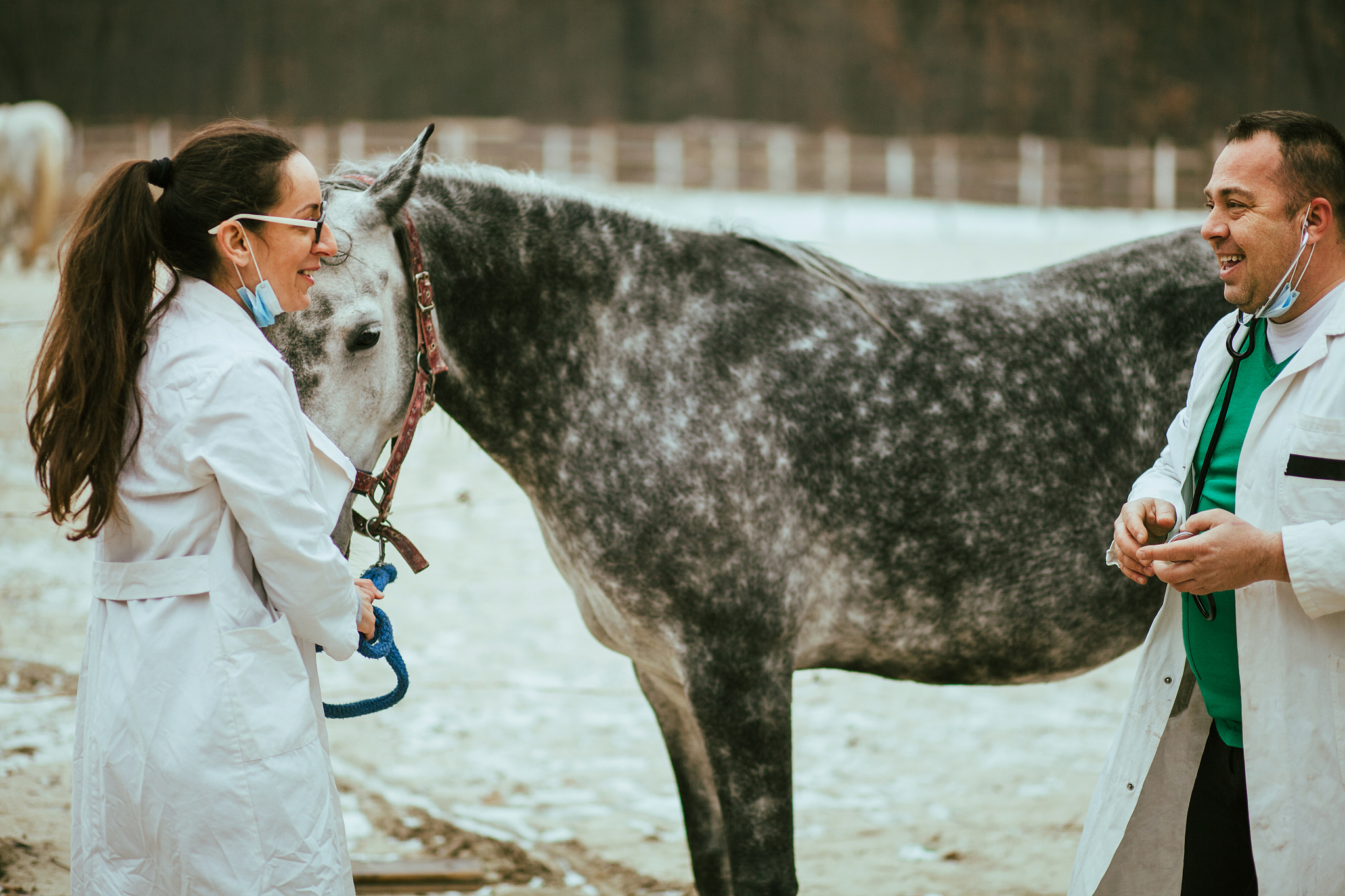 云南省曲靖市农业兽医学校2019年五年制专业设置