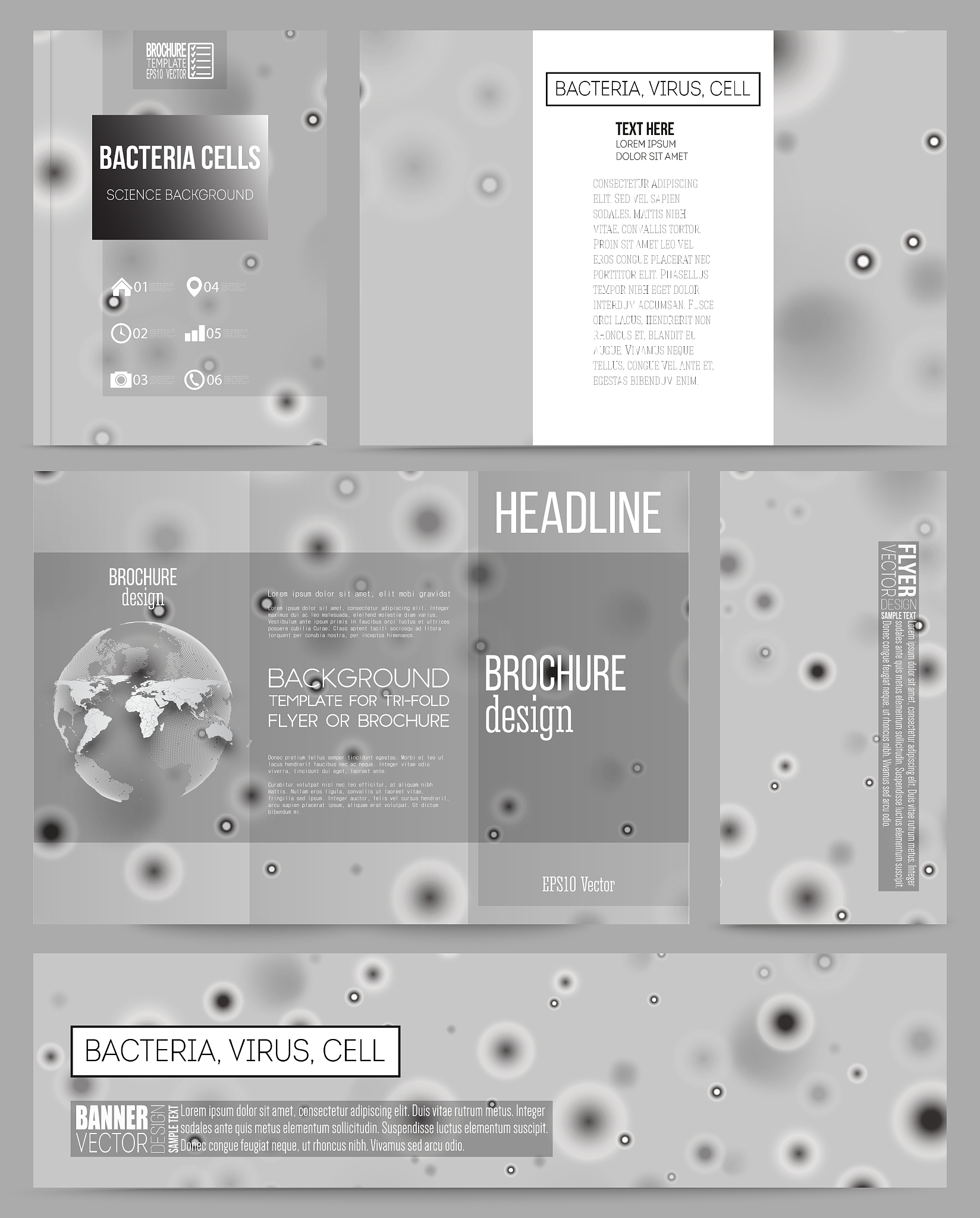 Photoshop 描边文本教程：简单步骤教你添加描边效果