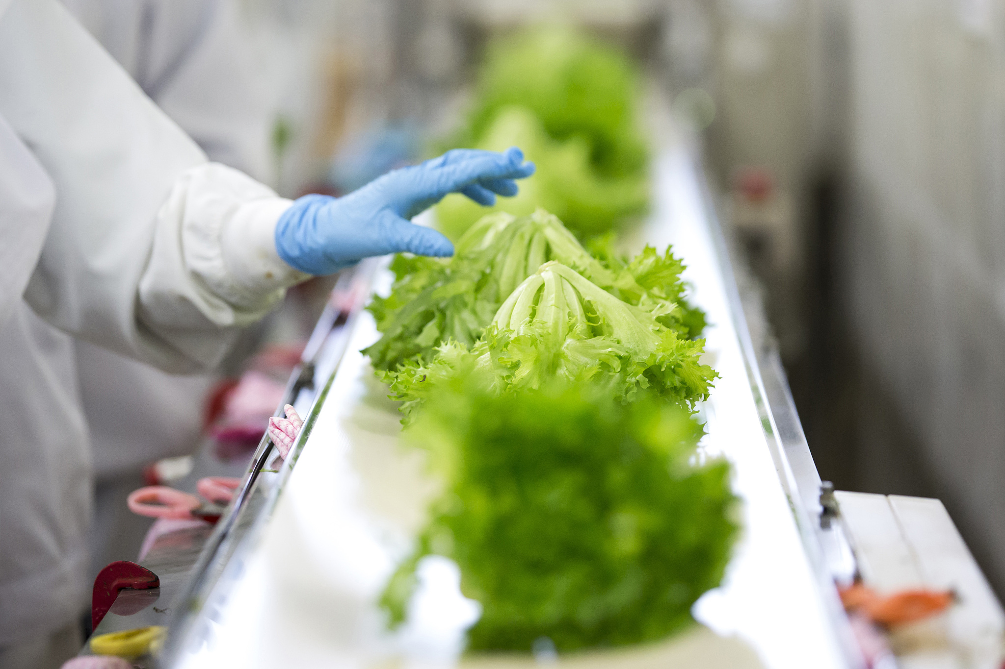 杨凌职业技术学院绿色食品生产技术专业都学些什么