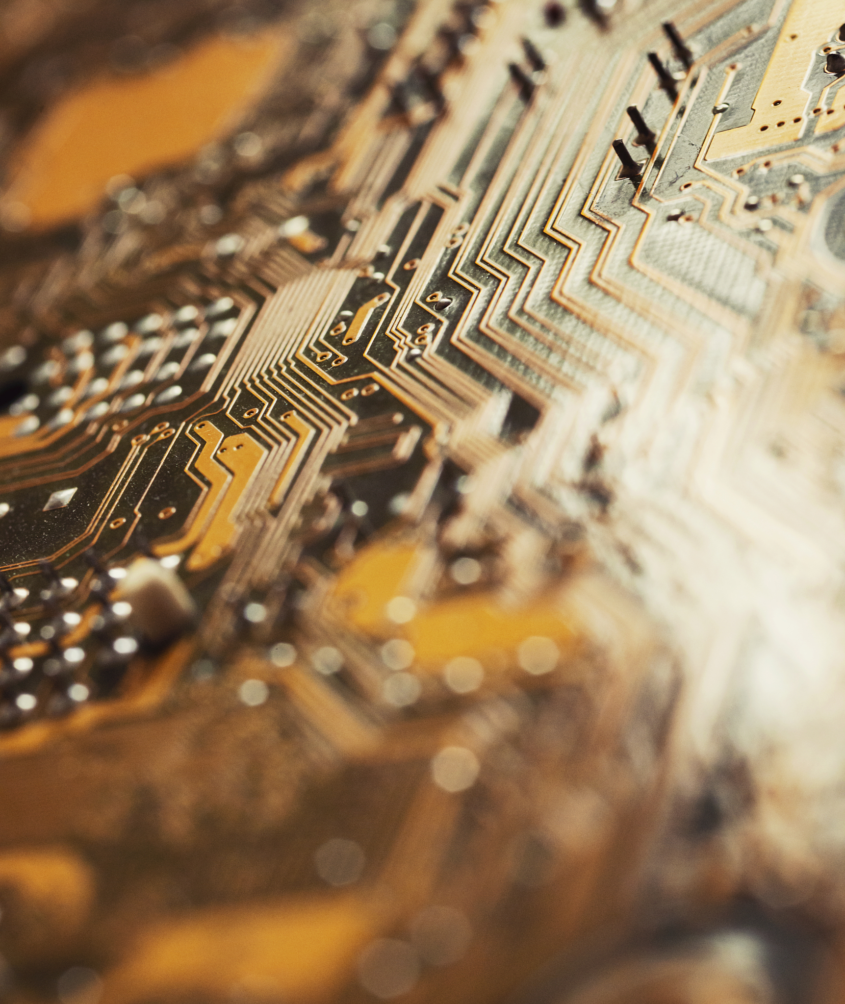 大连电子学校招生咨询电话 | 招生条件及专业介绍