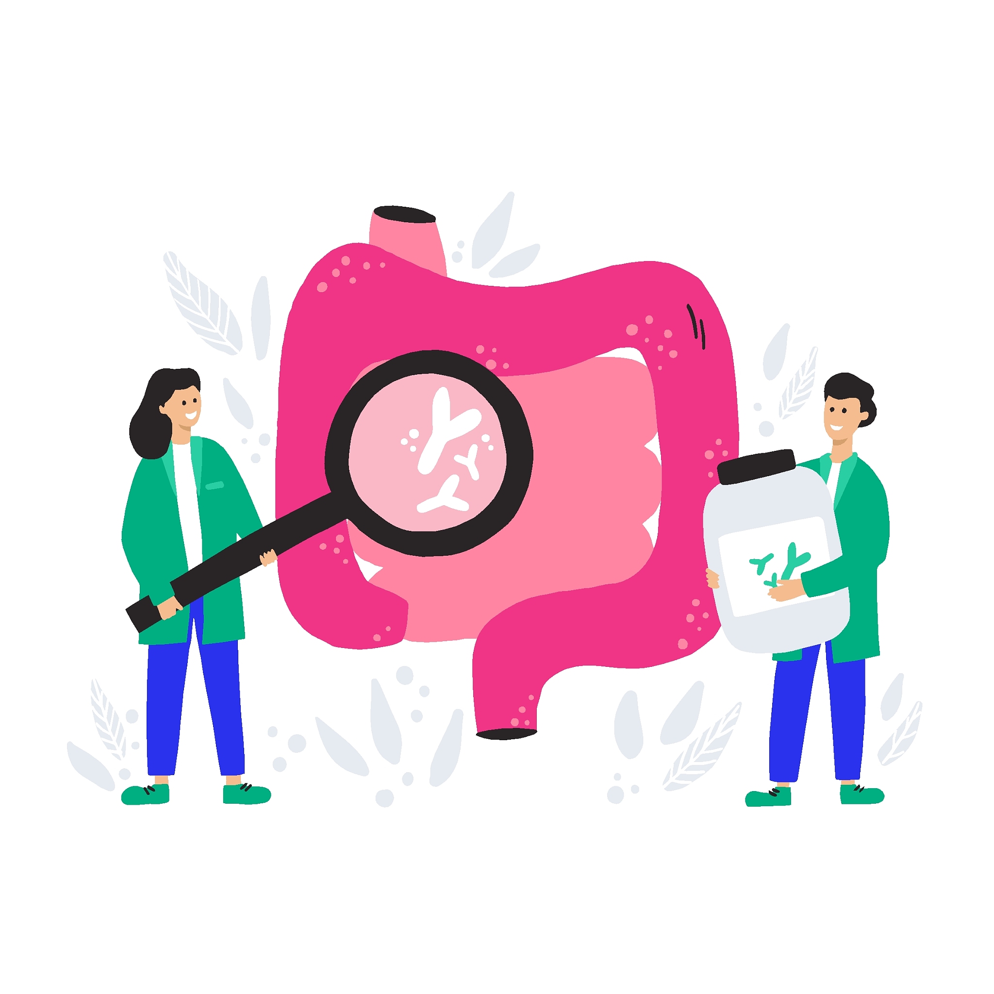 双歧杆菌的益处：消化、免疫力提升和更多