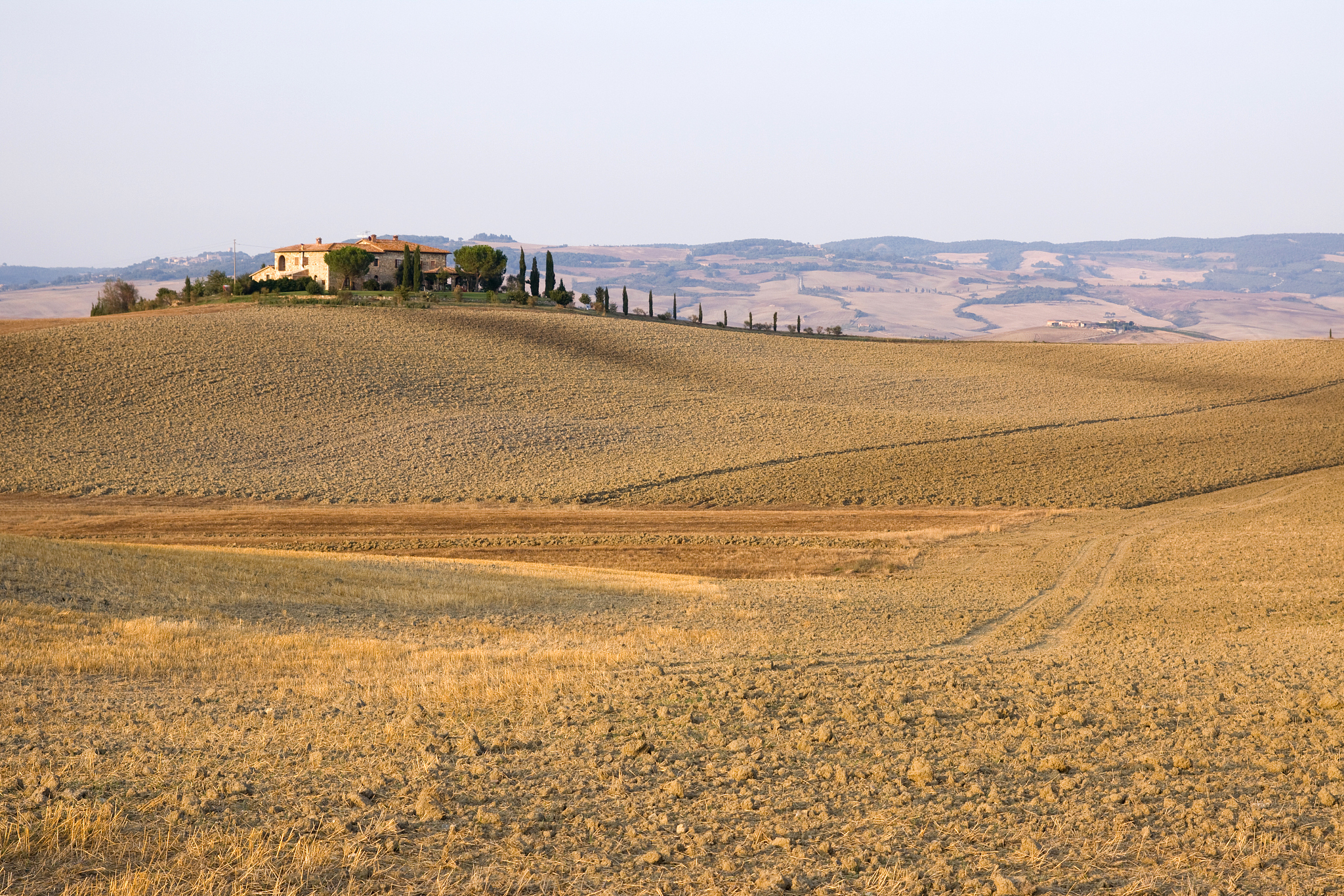 fields
