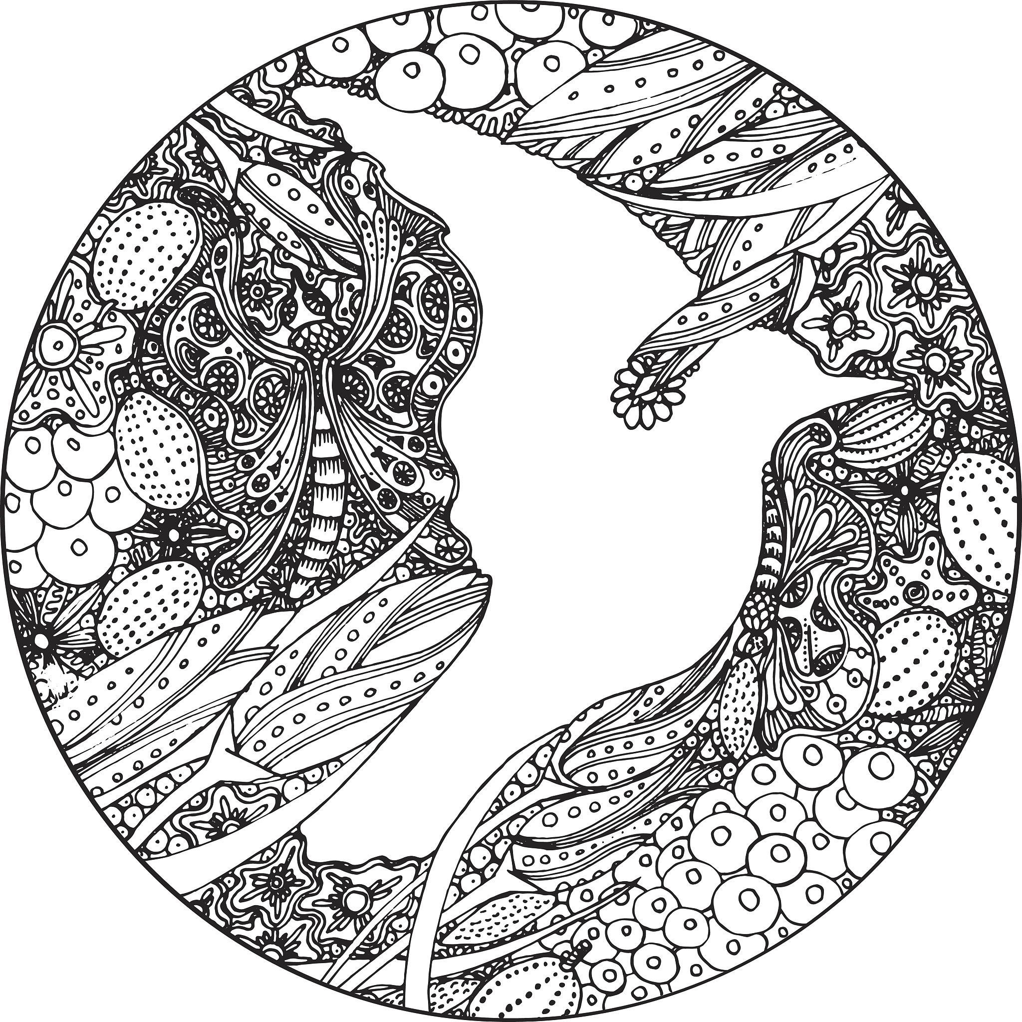 弓形虫：寄生于人脑的单细胞生物