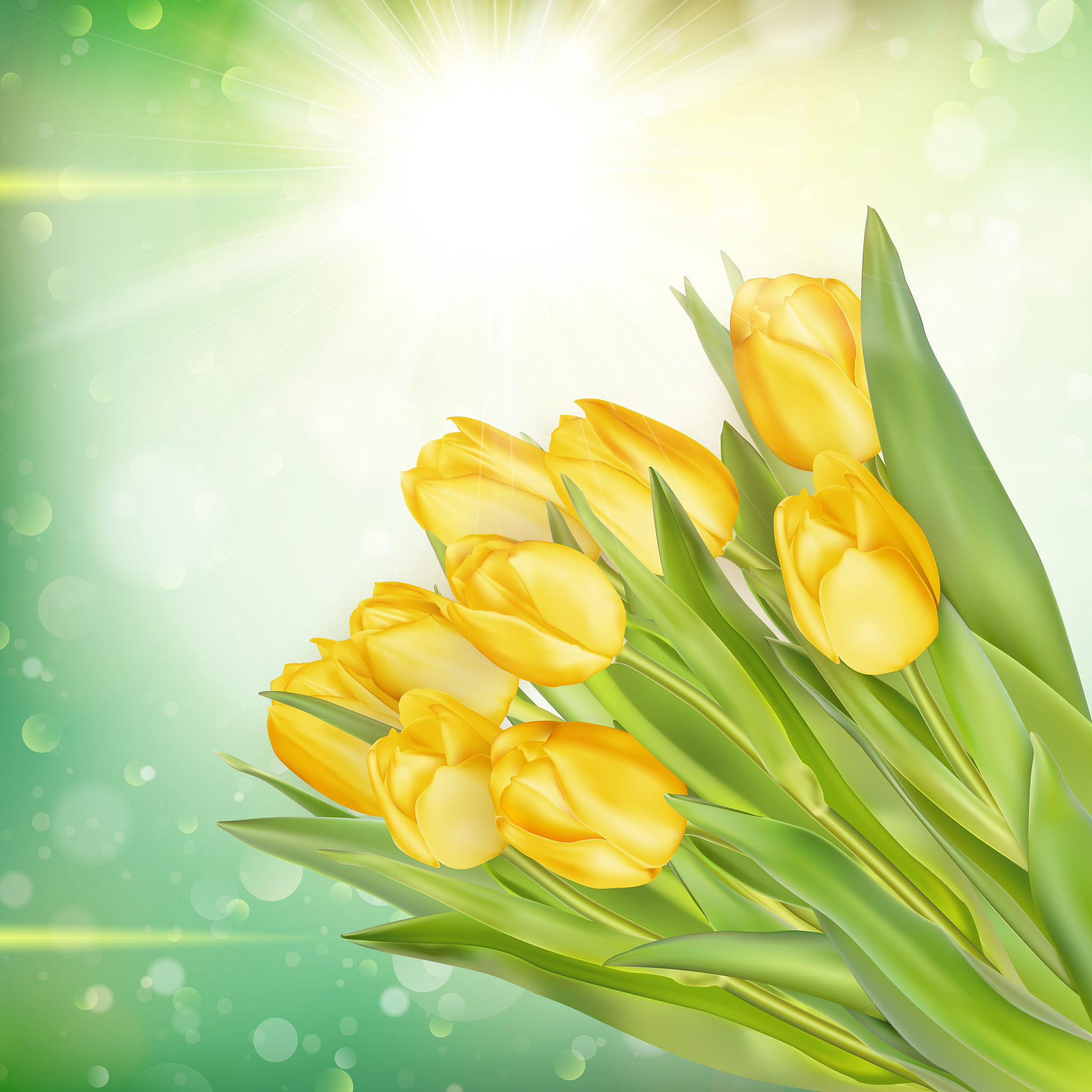 bouquet of tulips. eps 10