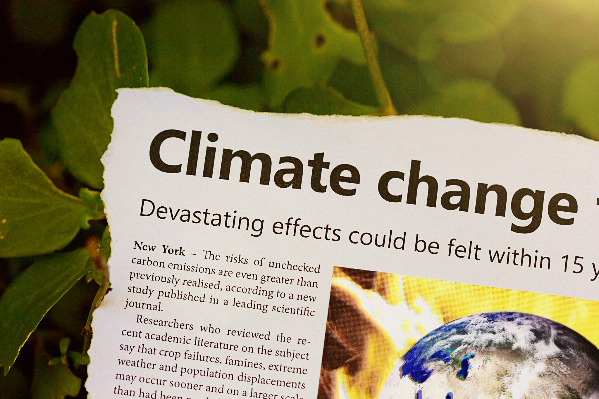 GLOBAL CHANGE BIOLOGY期刊是哪个出版社的？期刊的影响因子是多少？