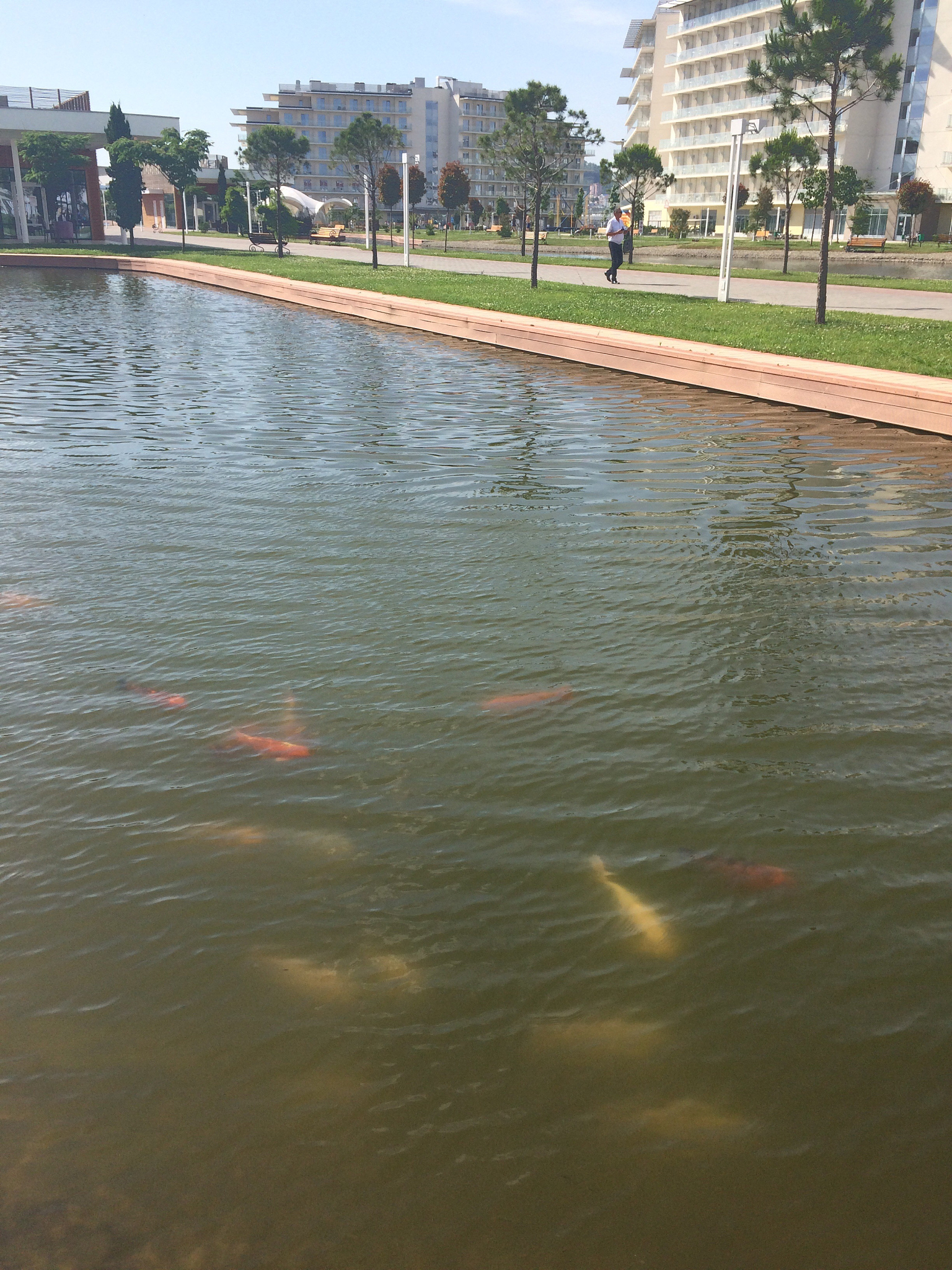 四川省水产学校校园环境怎么样？-解读水产养殖教育特色