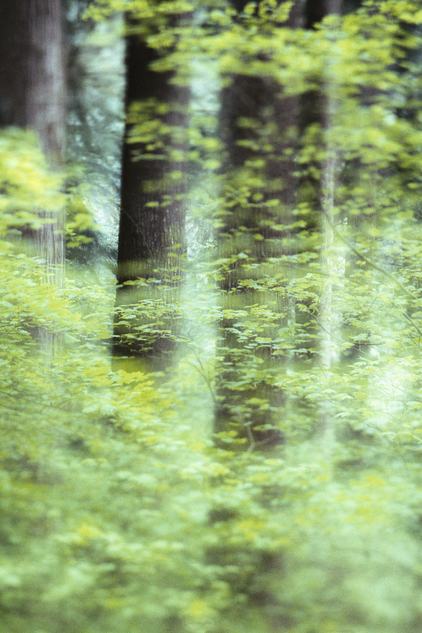 防爆应急灯等级划分及应用场景