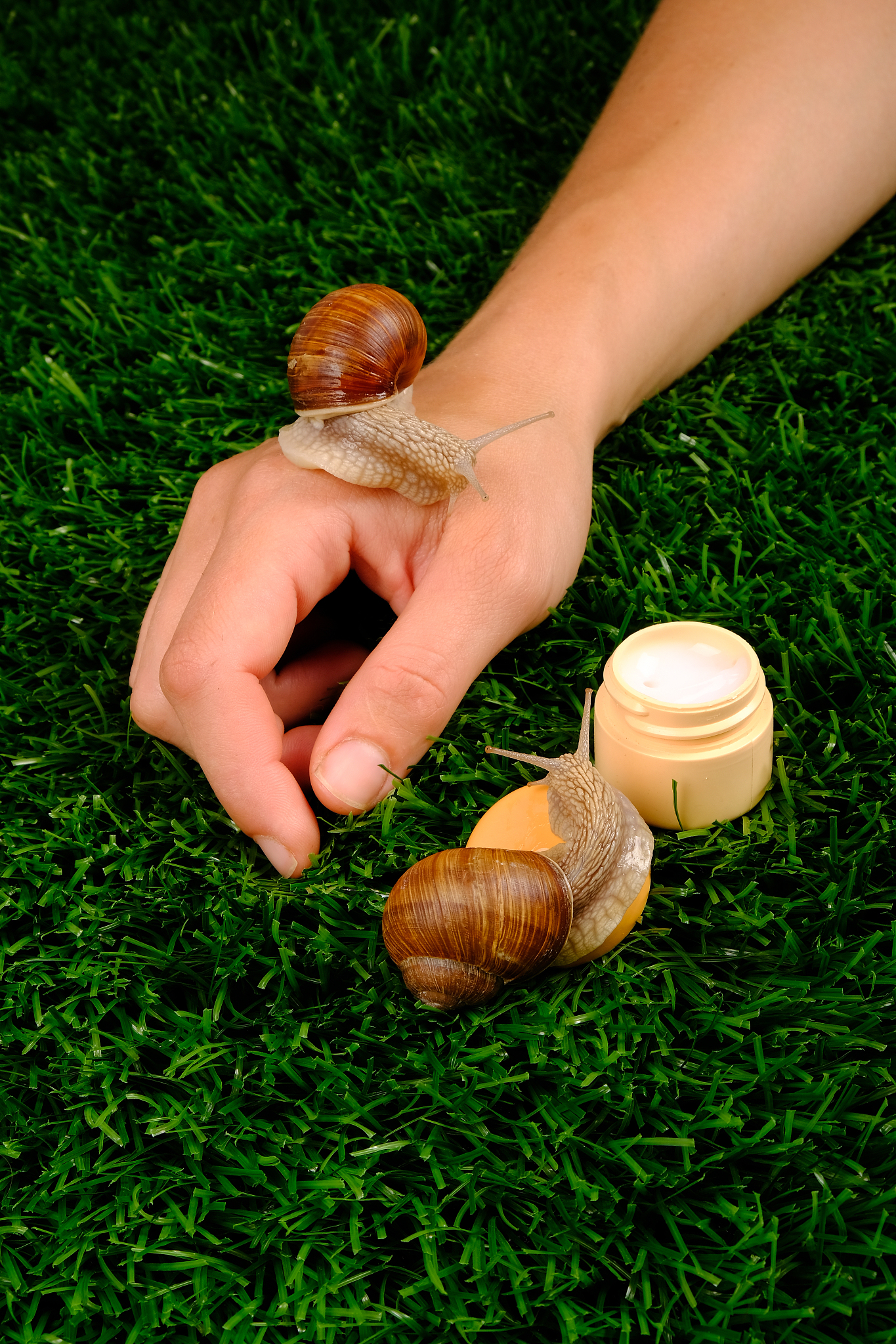 长期使用大宝维生素B2修护皮肤大宝维生素B2是一种维生素B族中的一种也称为核黄素。它是一种水溶性维生素能够帮助维持皮肤、眼睛、神经系统和消化系统的健康。长期使用大宝维生素B2可以有助于修护皮肤。维生素B2能够促进细胞的生长和修复增强皮肤的弹性和光泽。此外它还能够帮助减少皮肤干燥、炎症和痤疮等问题。然而使用任何保健品或化妆品都需要注意适量使用。建议在医生或专业人士的指导下使用大宝维生素B2以确保安全