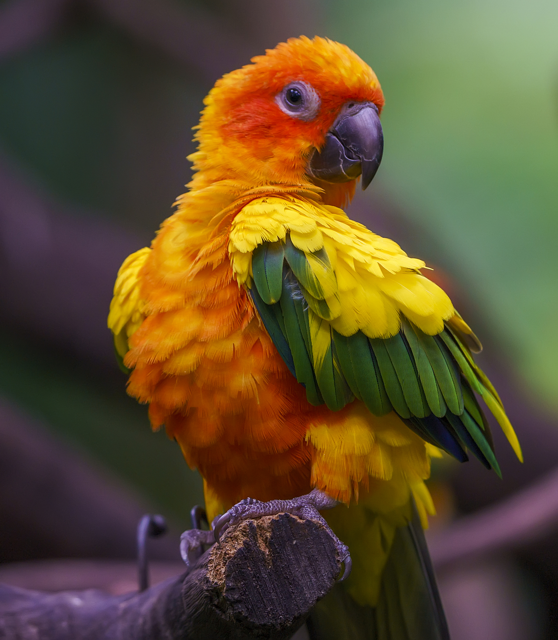 男性下巴有痣有什么寓意